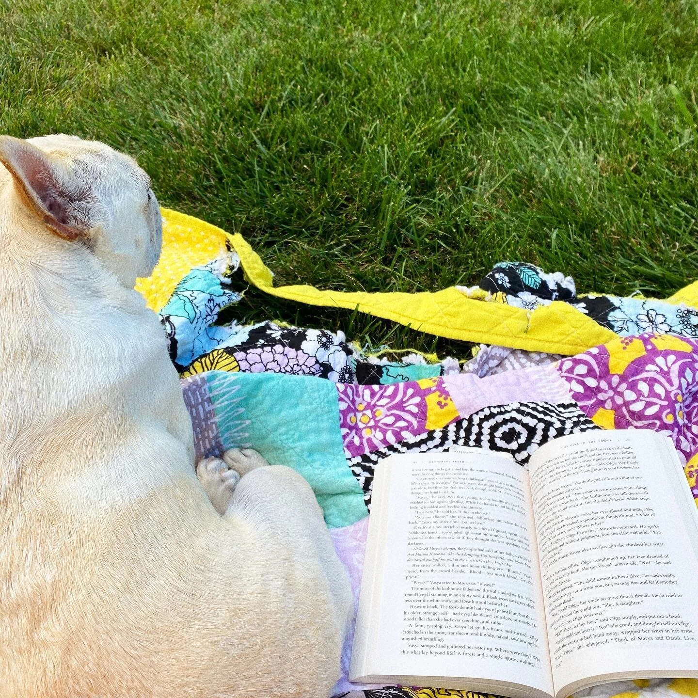 Happy National Dog Day to all our friends! Celebrating my amazing baby girl now and always. Love you always and FOREBER Indy!!! She&rsquo;s the greatest best friend and reading partner ever. BTW- this is a DOUBLE dog appreciation post because the qui