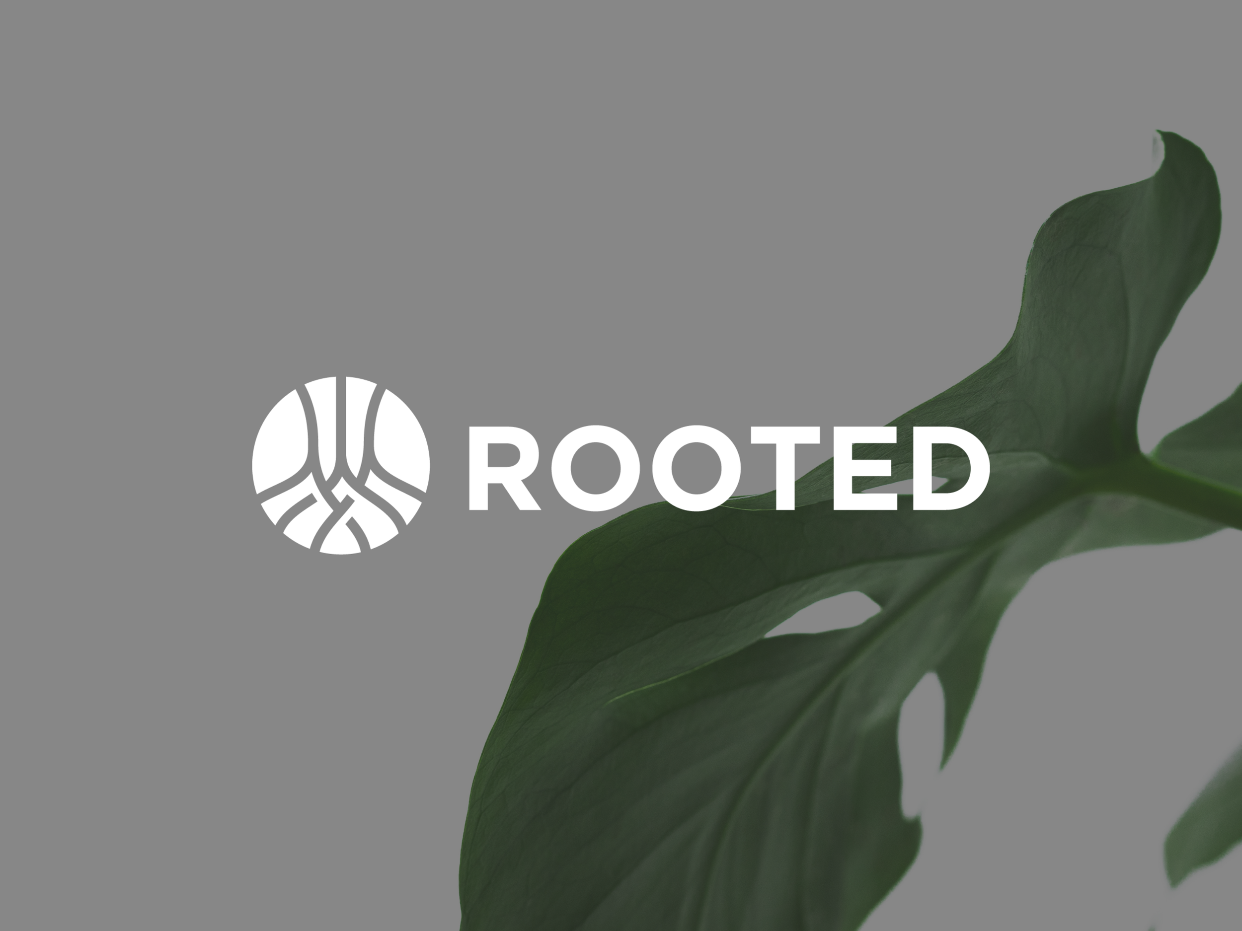 Rooted — The Bridge, Chino CA