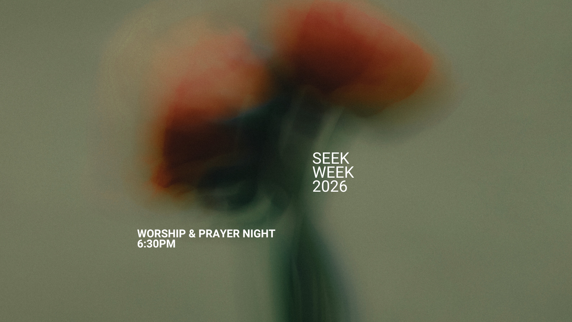 Worship & Prayer Night