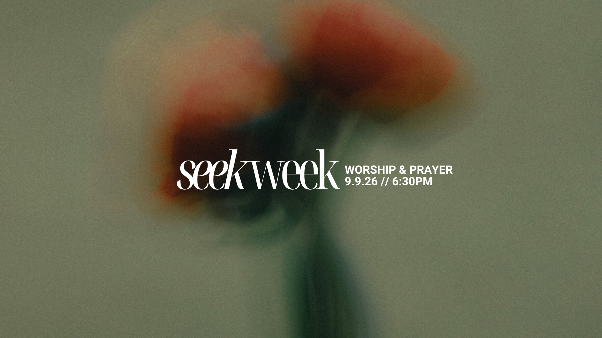 Worship & Prayer Night