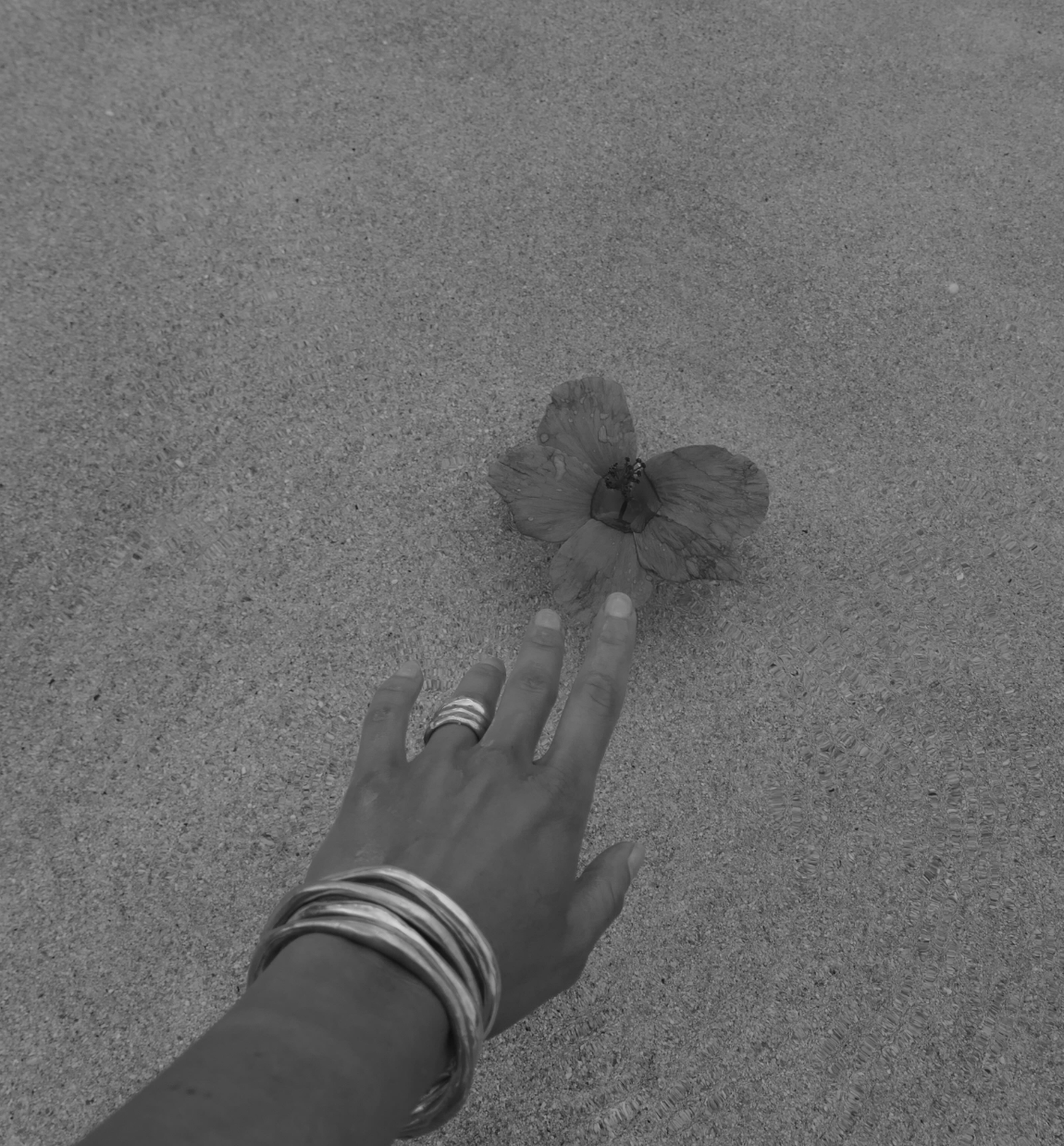 Screen Shot 2026-04-13 at 4.03.19 PM.png