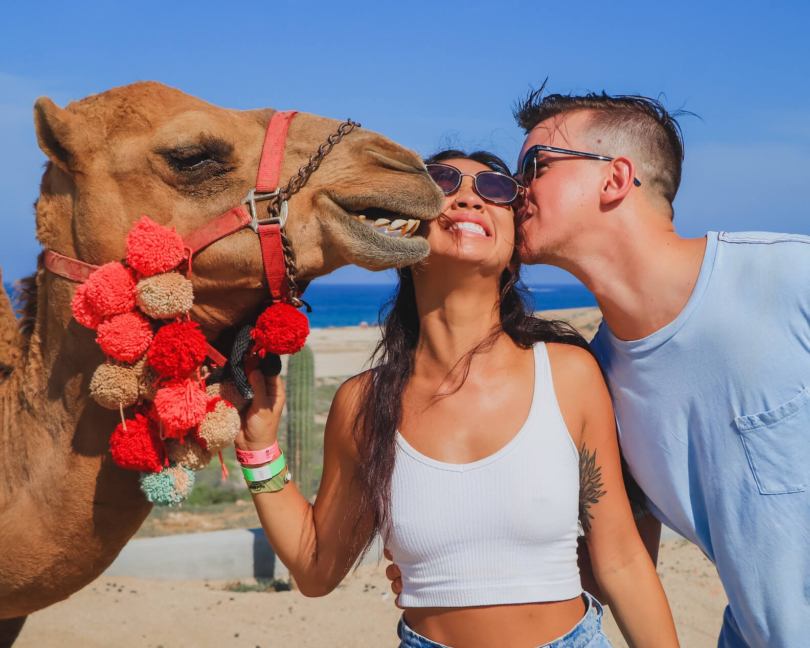 Sex In Cabo San Lucas