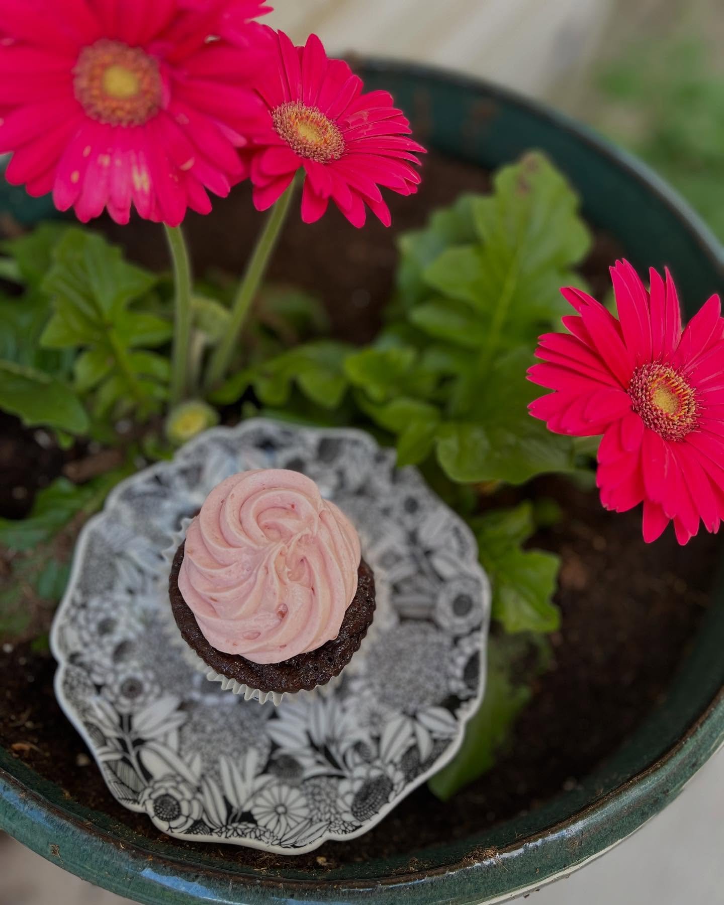 🌸🌼Bright spring blooms call for bright spring flavors 🌼🌸

Photo #1: Chocolate Raspberry Cupcake
Photo #2: Chocolate Peanut Butter Cupcake
Photo #3: Vanilla Oreo Cupcake (can be made dairy-free!)
Photo #4: a lil guy 🙂

#glutenfreeohio #glutenfree
