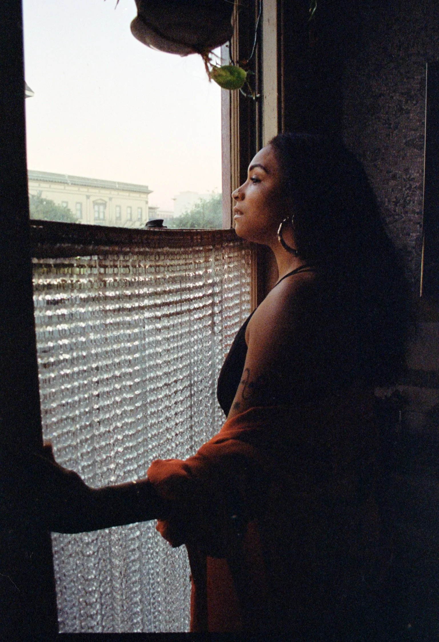 Winter Solstice Newsletter - 12/2023 