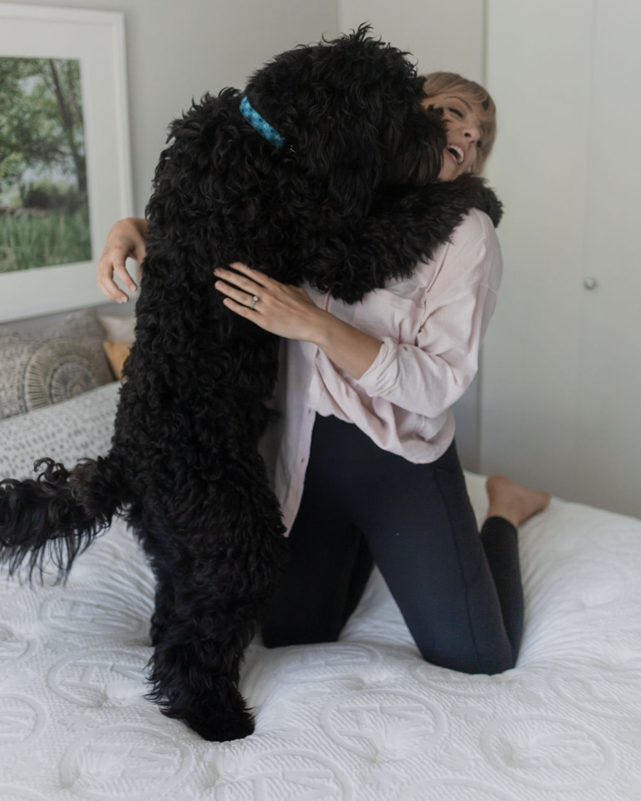 A person kneeling on a bed hugging a large black dog wearing a blue collar.
