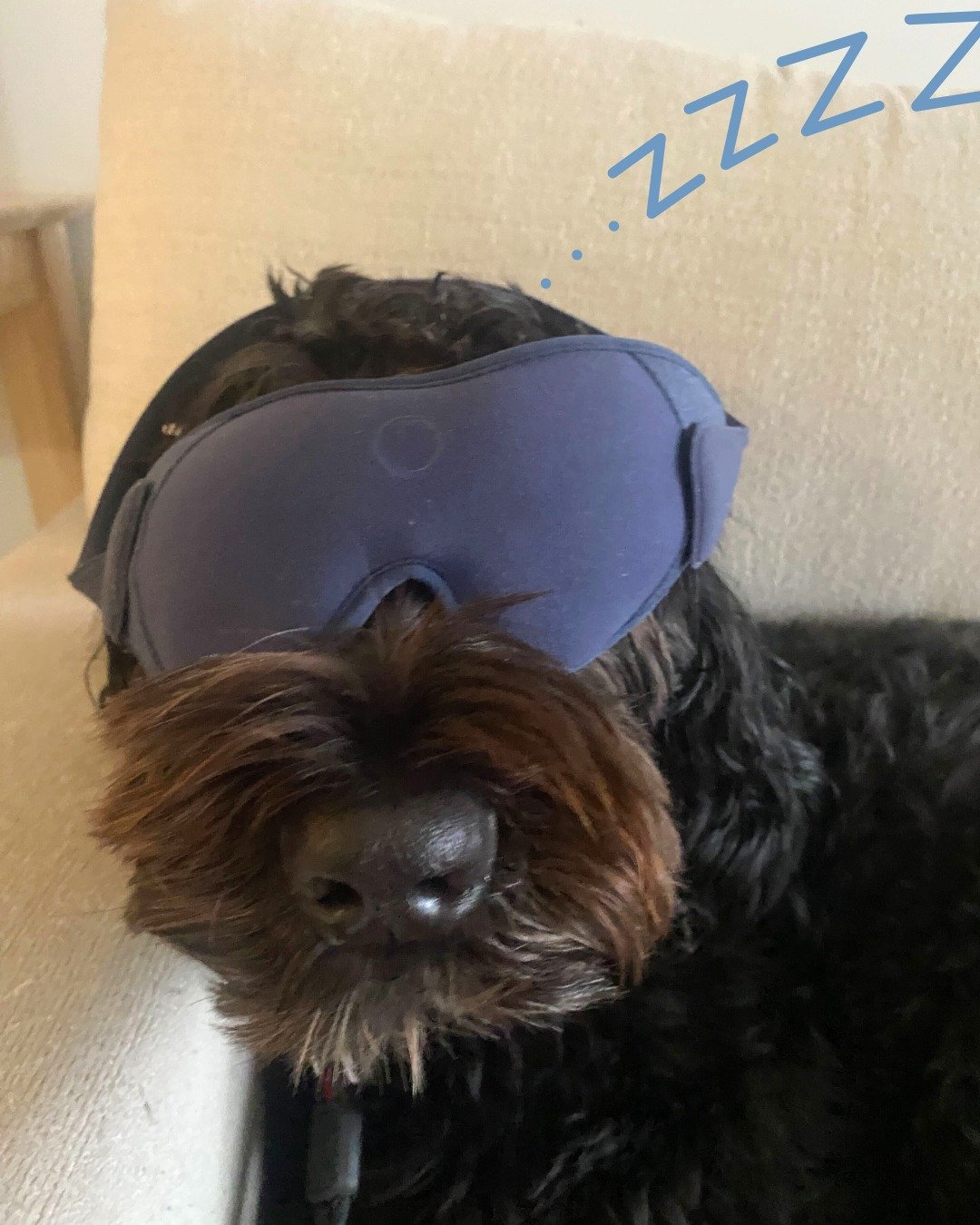 I&rsquo;ve tried a lot of sleep masks over the years! 😴

Most of them end up making me feel hot or smothered, which leads me to take them off halfway through the night without even realizing it. Completely defeats the purpose.

The SOMO Sleep Fitnes