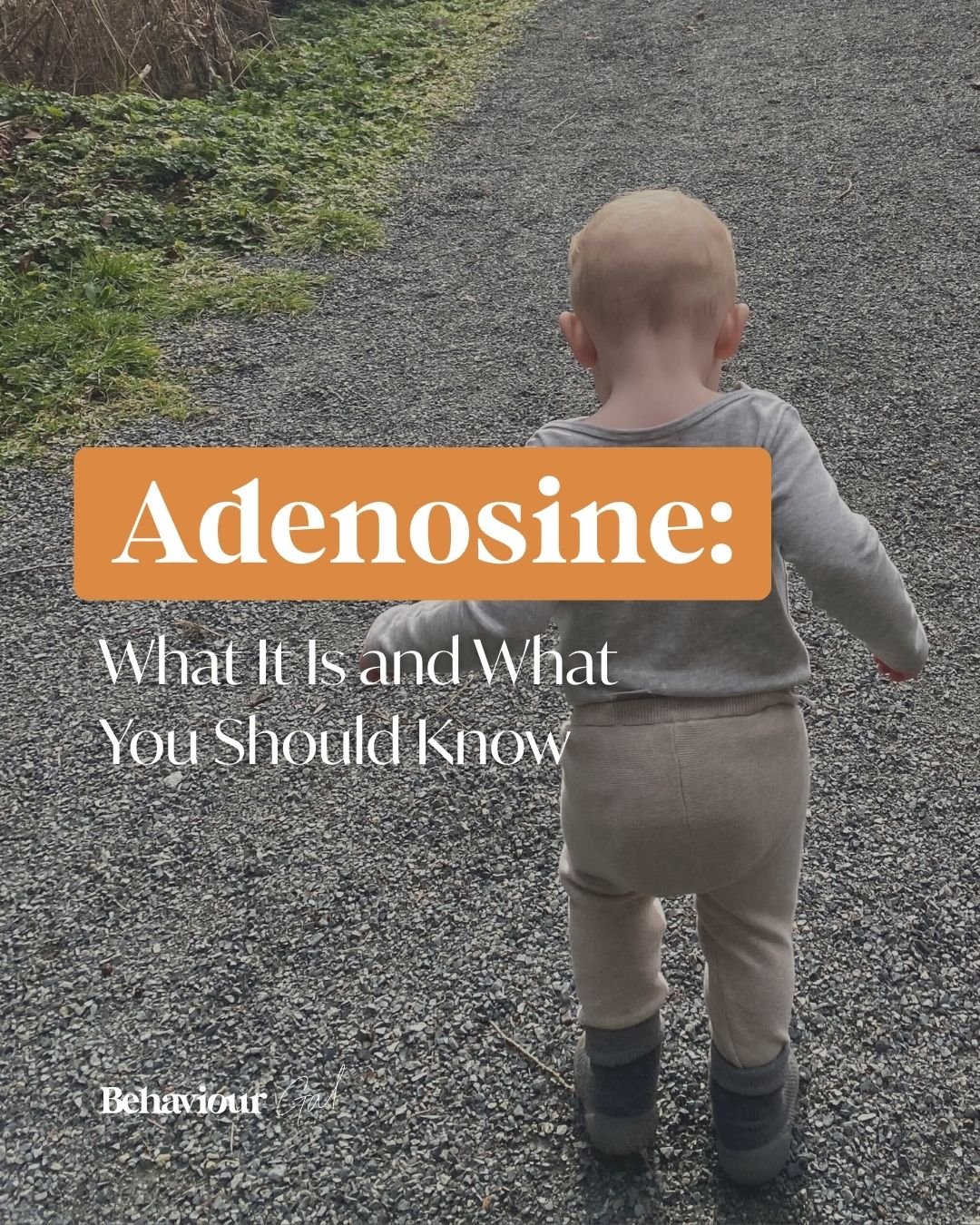 Ever wonder why you feel &ldquo;pressure&rdquo; if you stay up too late? 🧠

It comes down to a molecule called adenosine.

Throughout the day, adenosine builds up as you move, think, learn, and regulate emotions. The more it accumulates, the sleepie