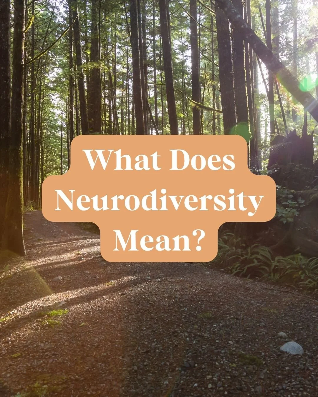 Different does not mean something needs to be fixed . 🩵

So many children grow up being misunderstood simply because the way they think, learn, communicate, or move through the world does not match society's expectations. 

That is a big part of why