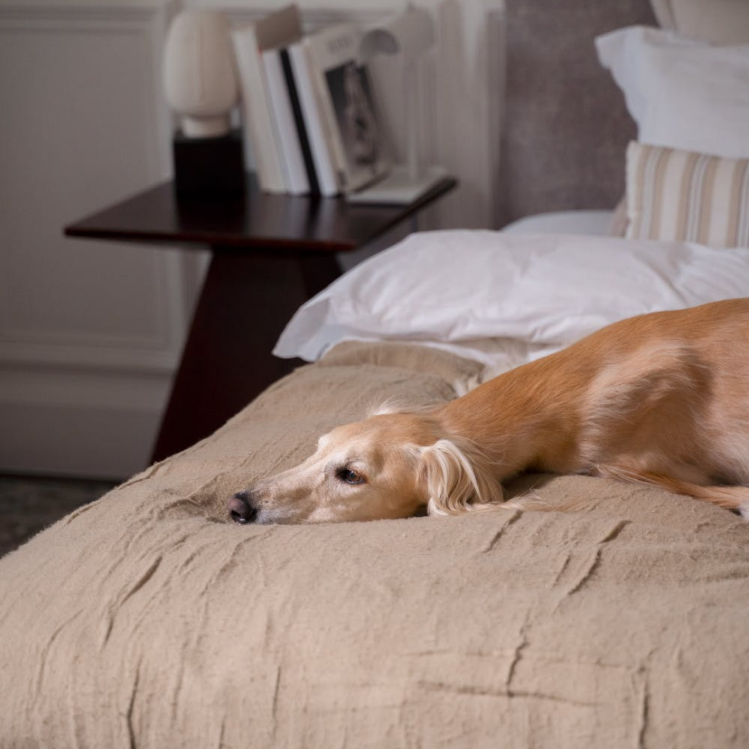 ADHD and Sleep: Why Bedtime Is Often the Hardest Part of the Day