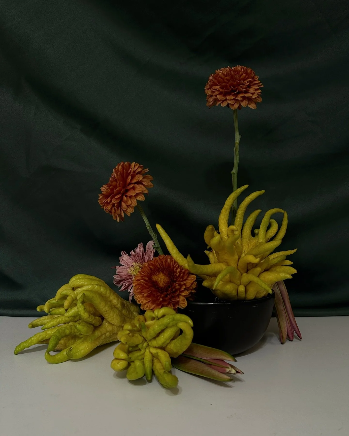 happy halloween π»π 
some variations on ~ things have been scary lately ~