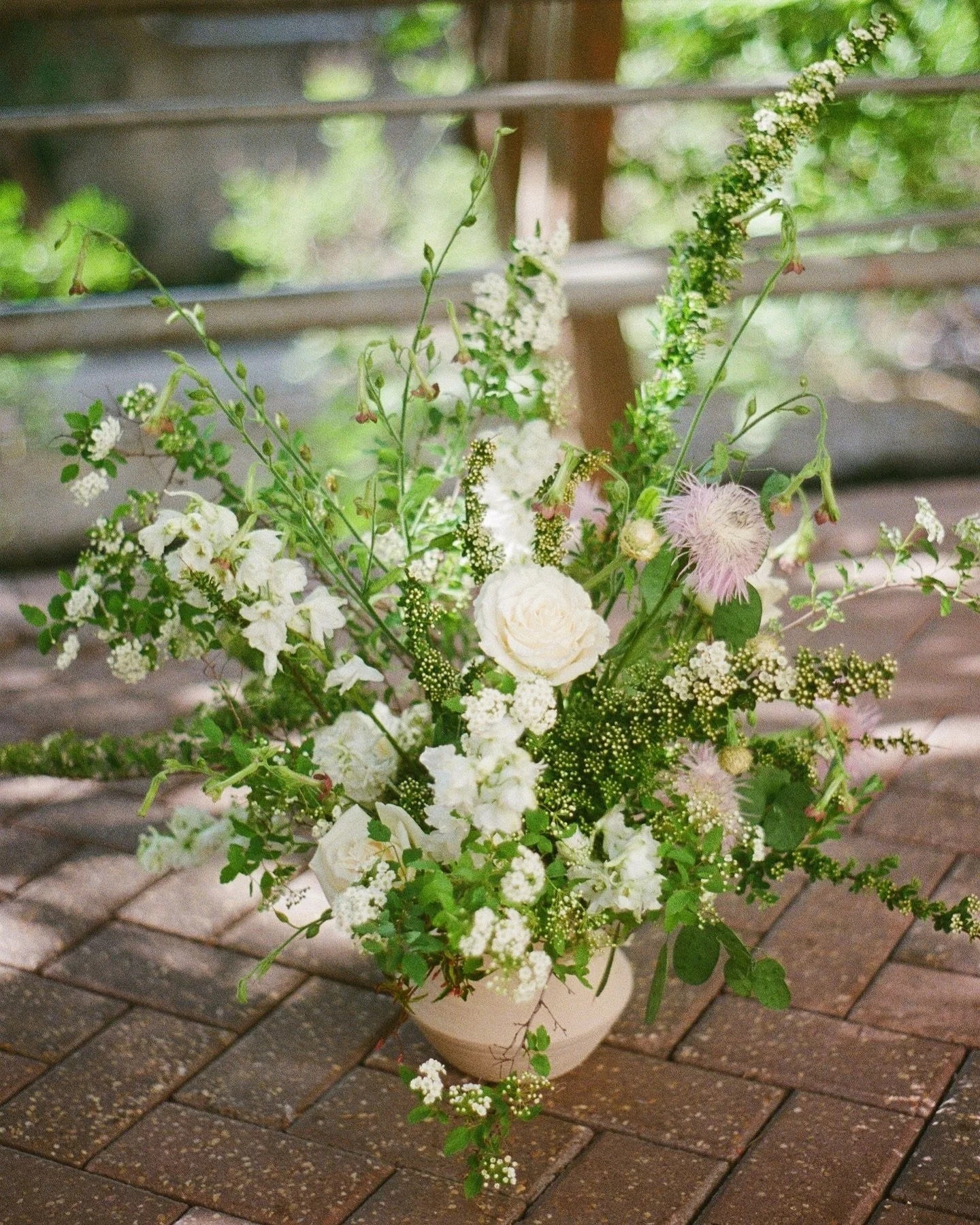 lovely little wild ones on film for talia & seth, spring 2024 π€πΎ