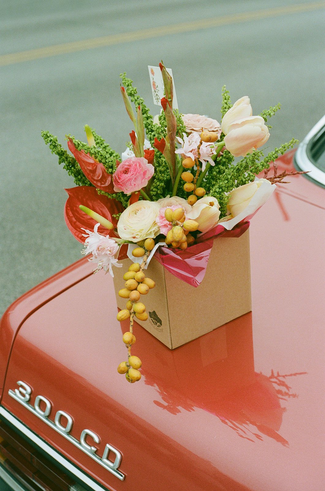 Nicole Gagne Photo x No Samples-46_websize.jpg