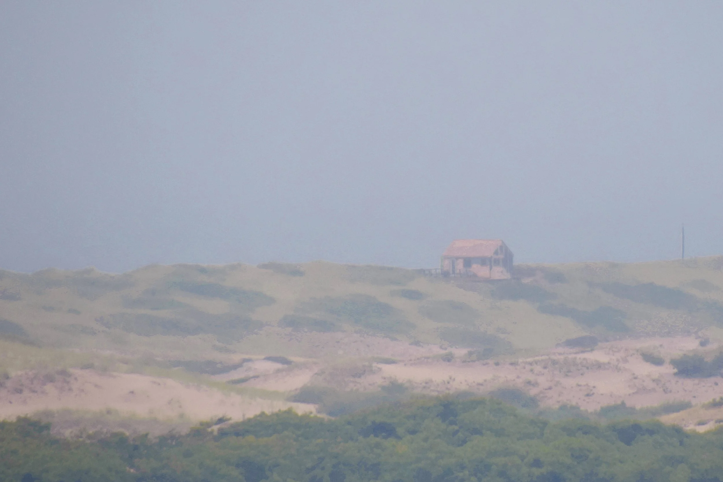 Not All Who Wander Are Lost