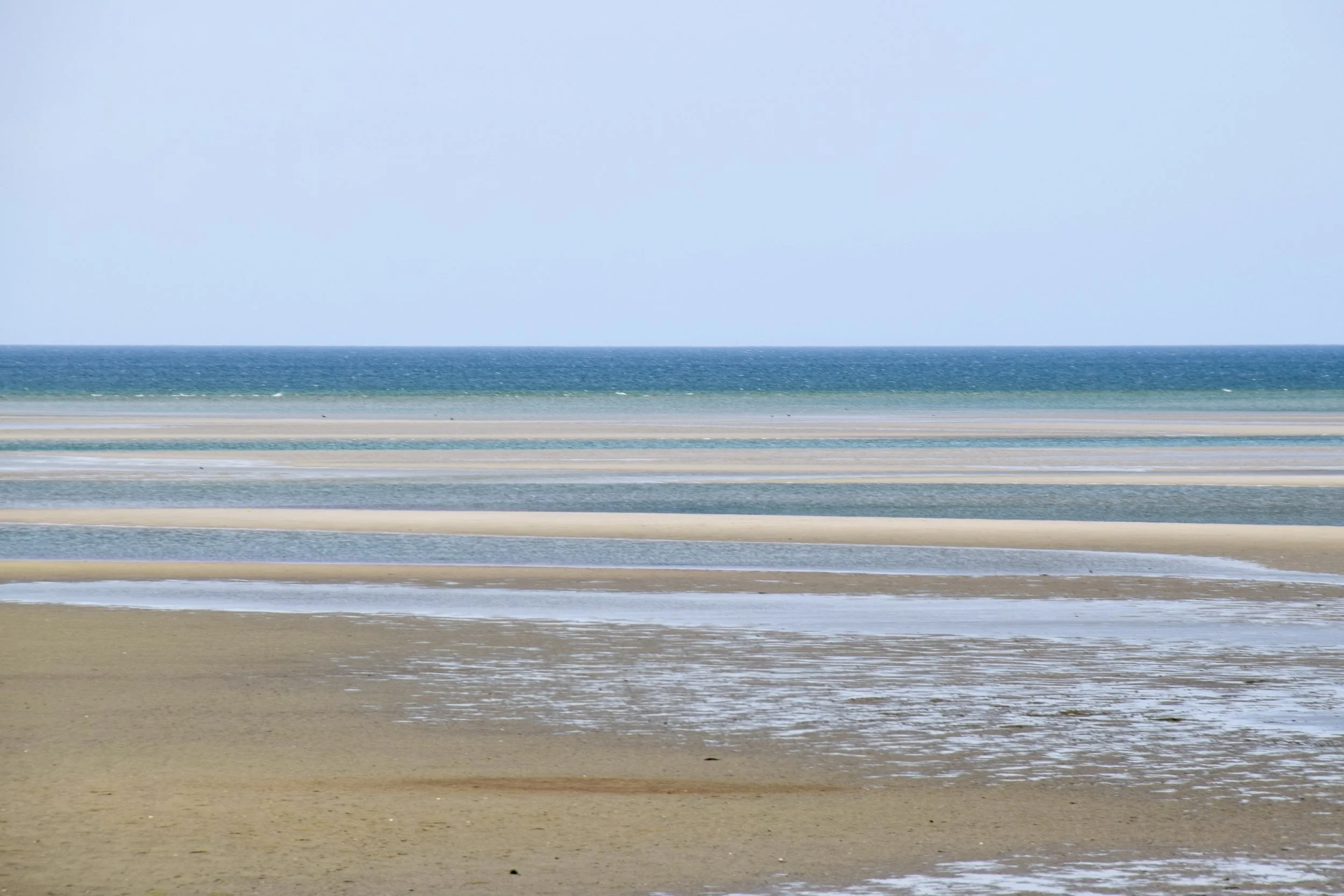 DSC_0551.JPG