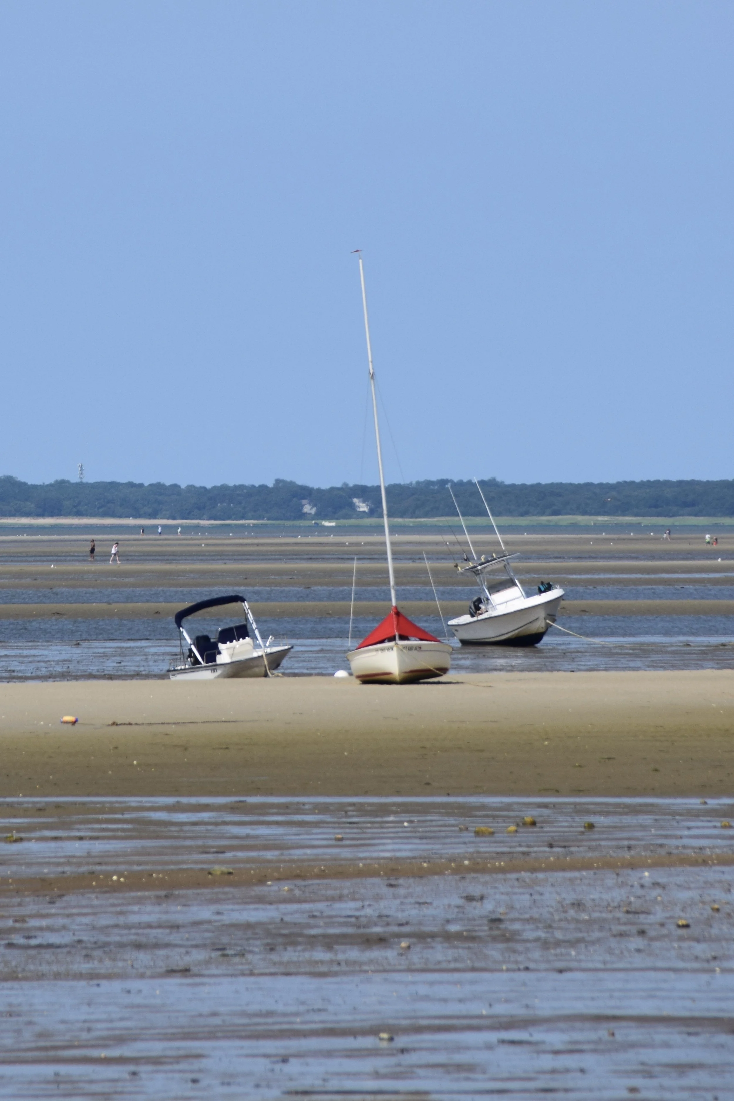 DSC_0543.JPG