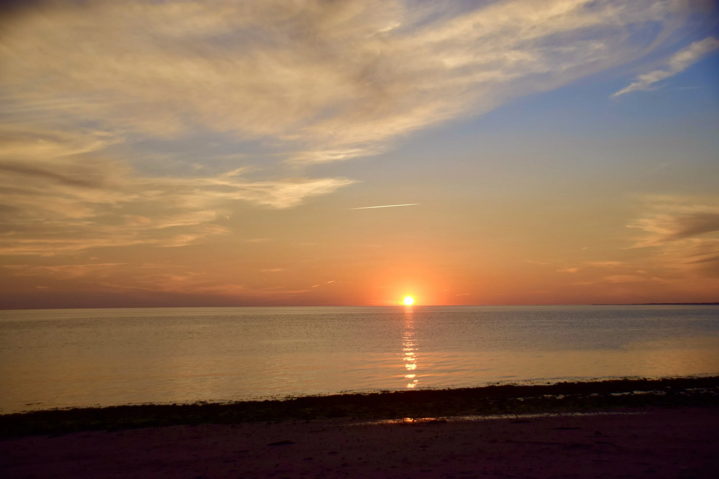 DSC_0714.JPG
