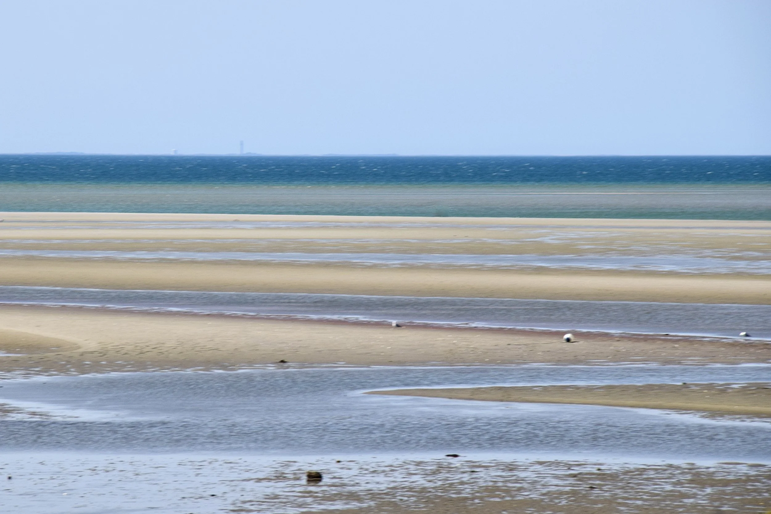 DSC_0549.JPG