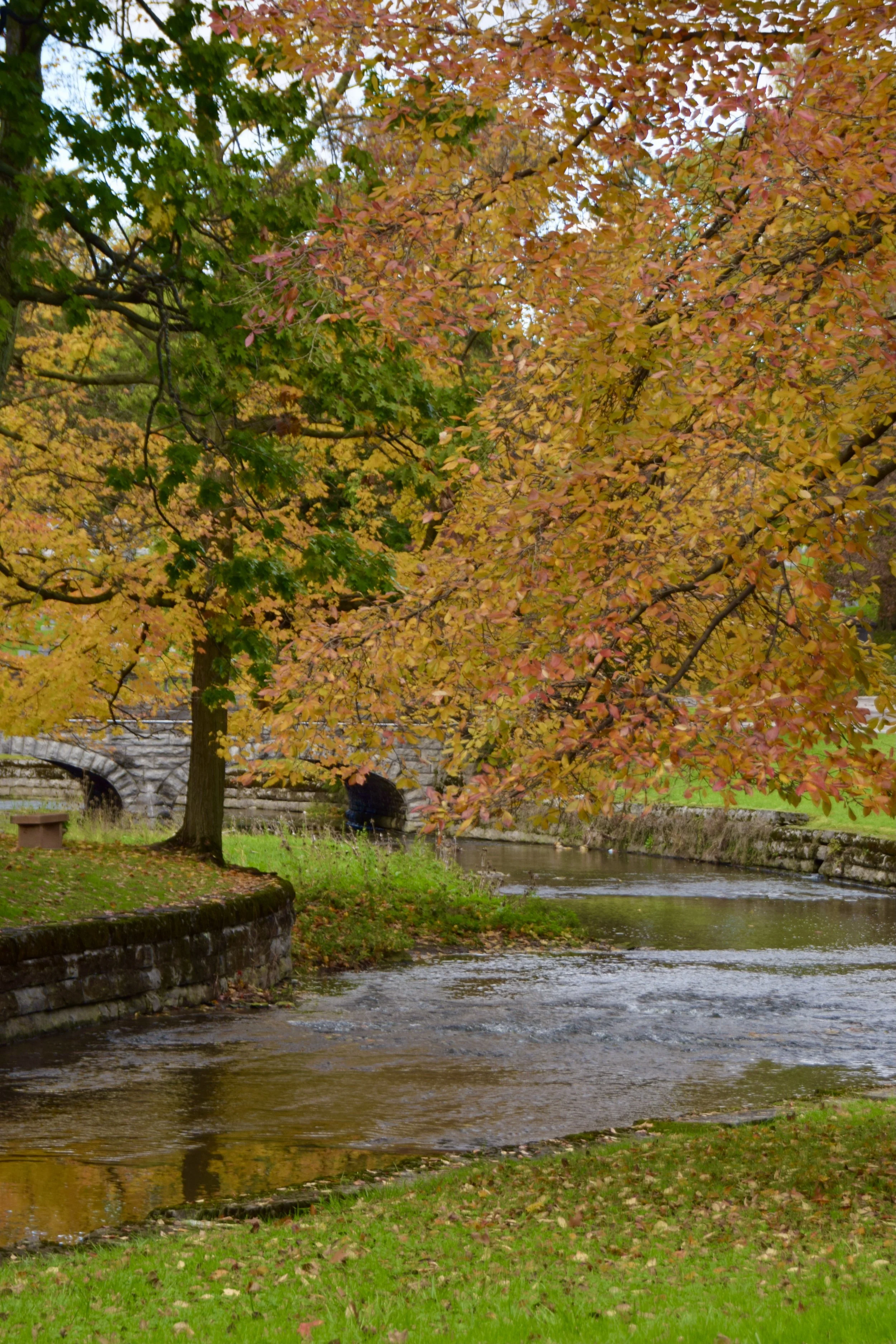 FL creek bridge portrait.JPG