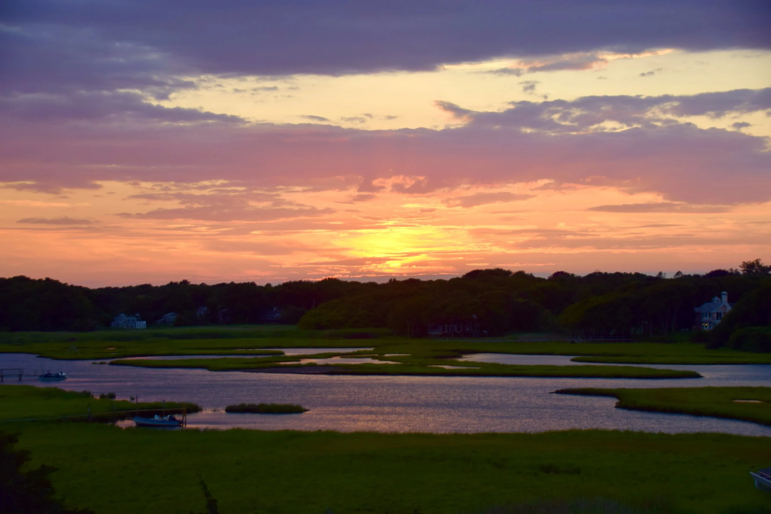 DSC_0554.JPG