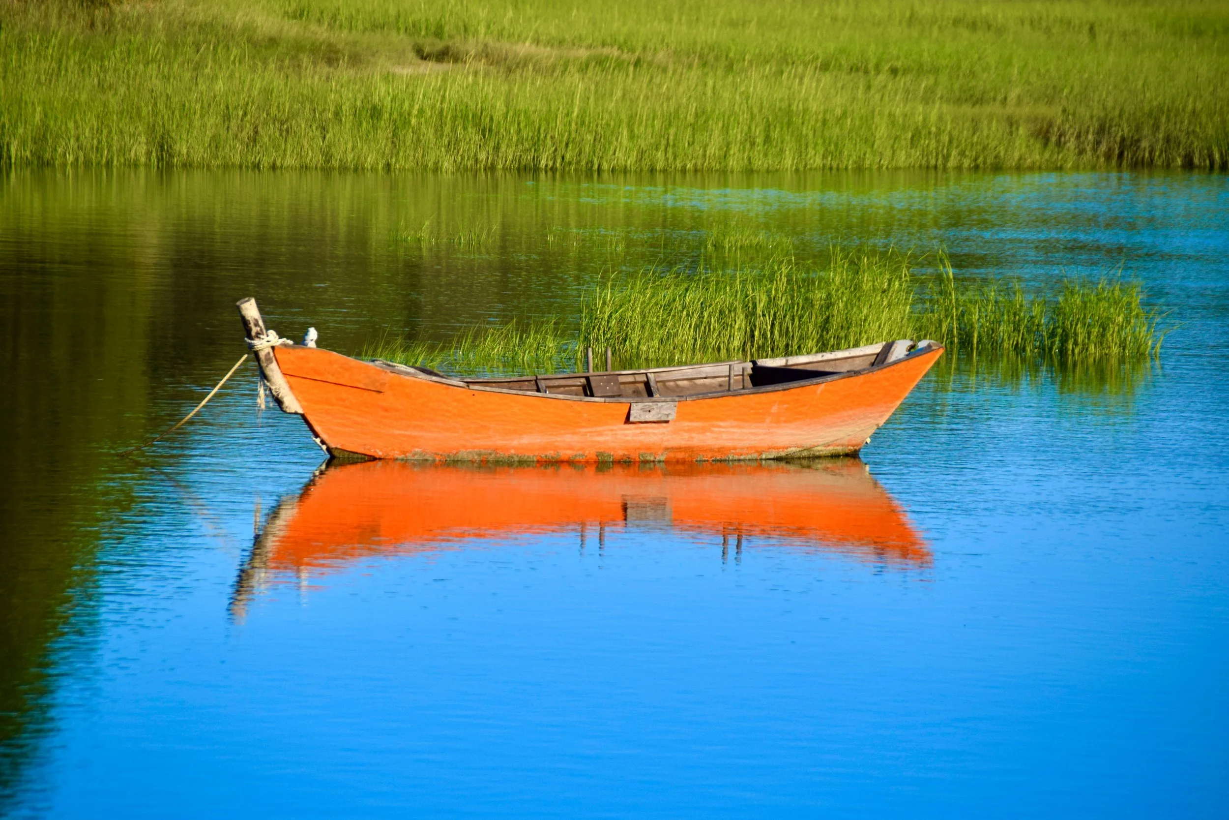 DSC_0993.JPG