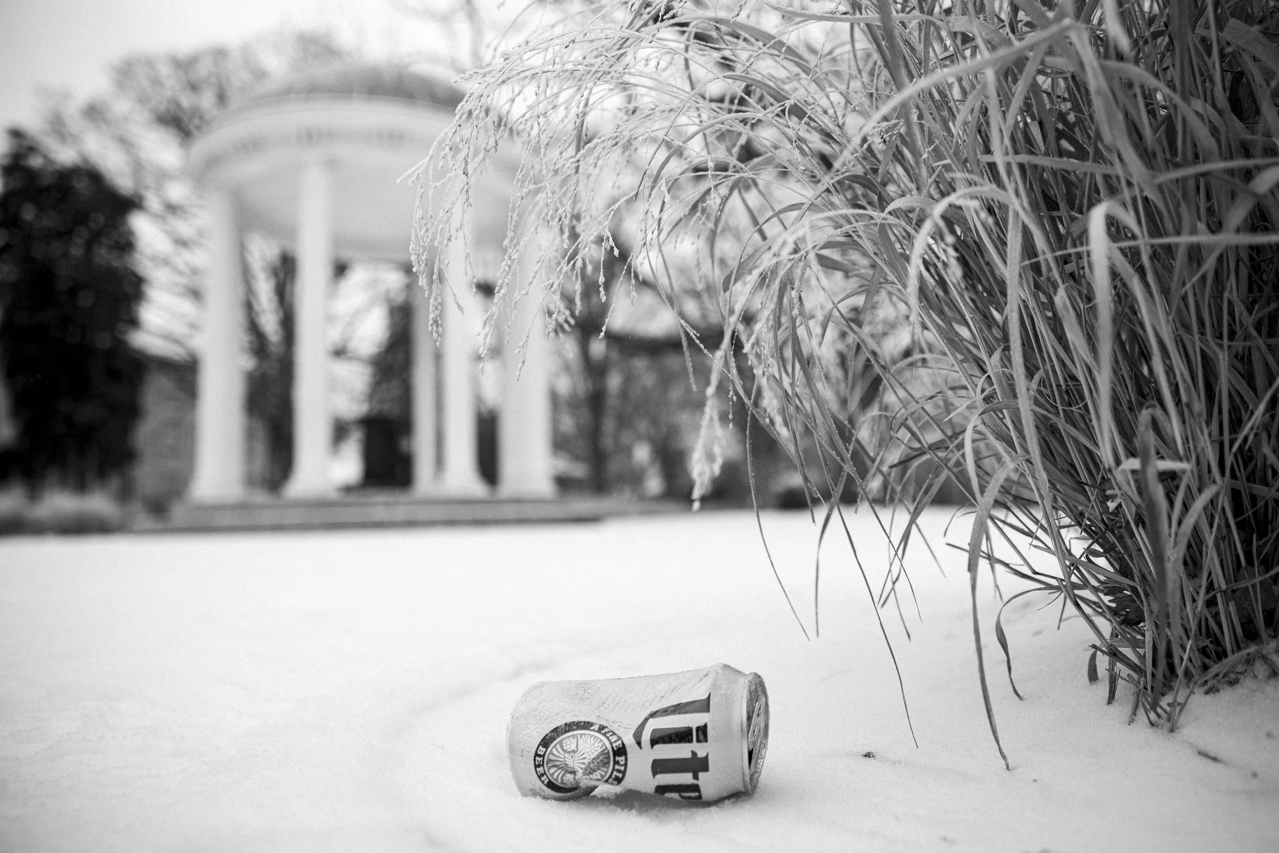 20260125_Wilder_Snow-53.jpg