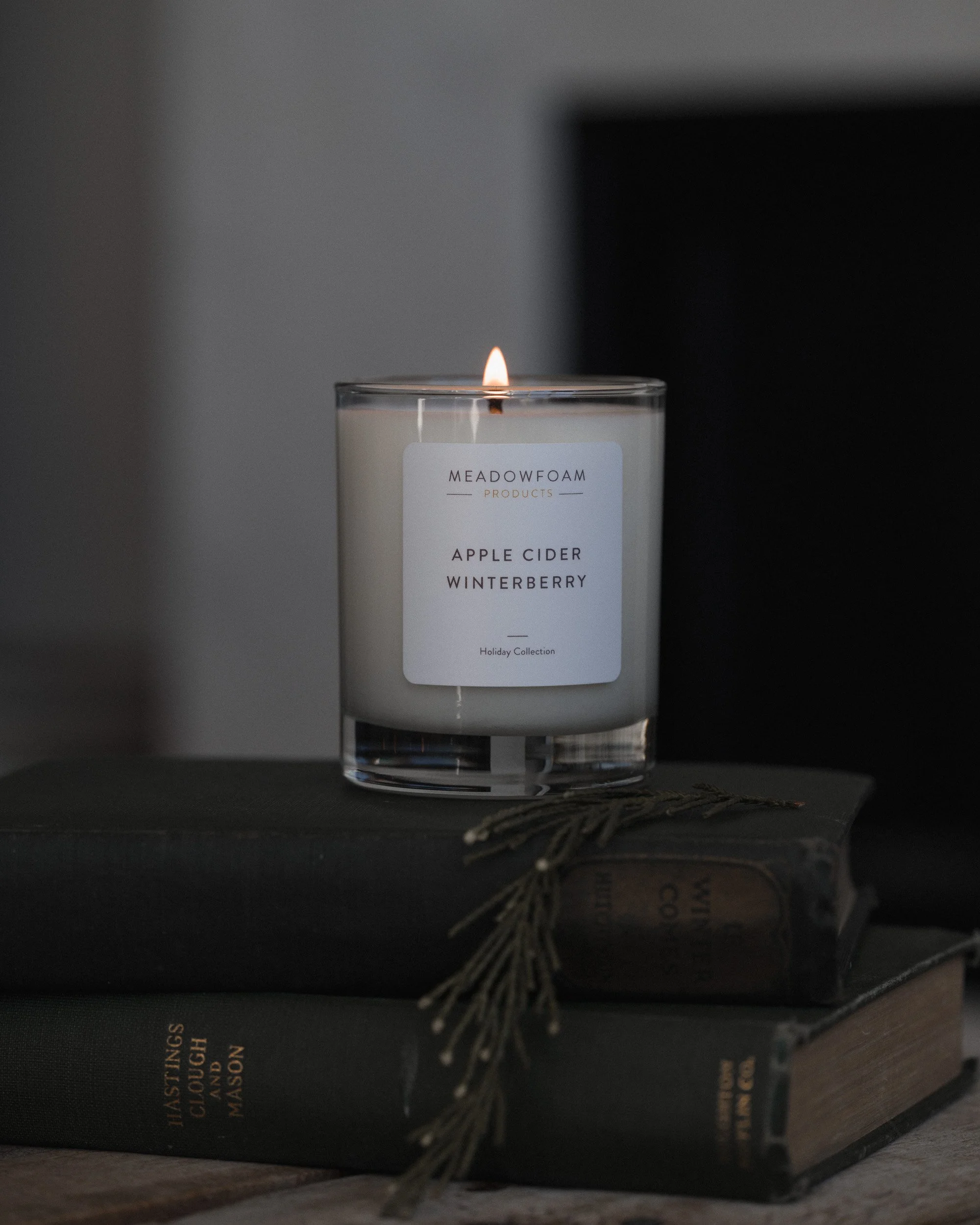 MICHELLE-MOLLINGA-CANDLE-APPLE-CIDER.jpg