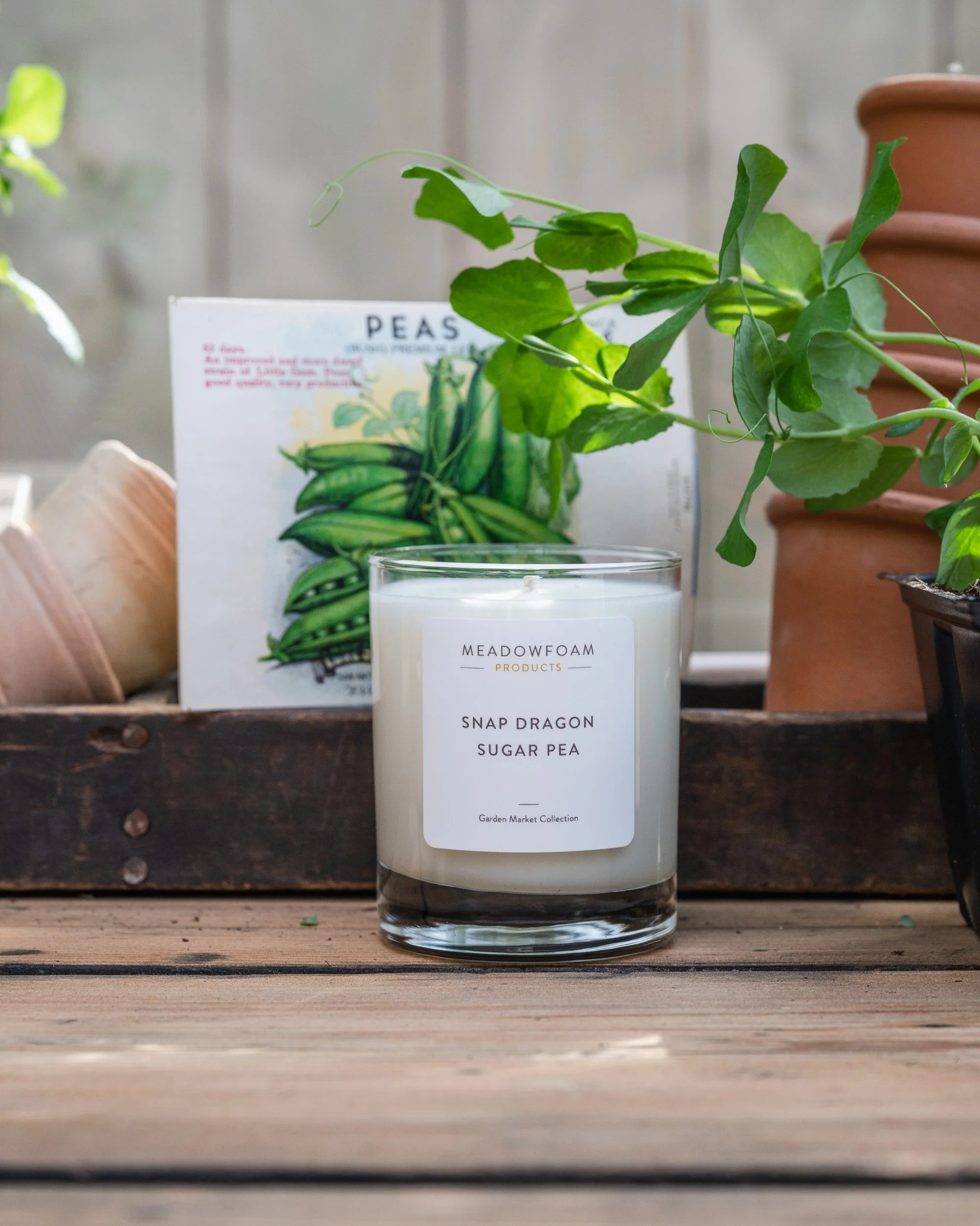 MICHELLE-MOLLINGA-CANDLE-PEAS.jpg