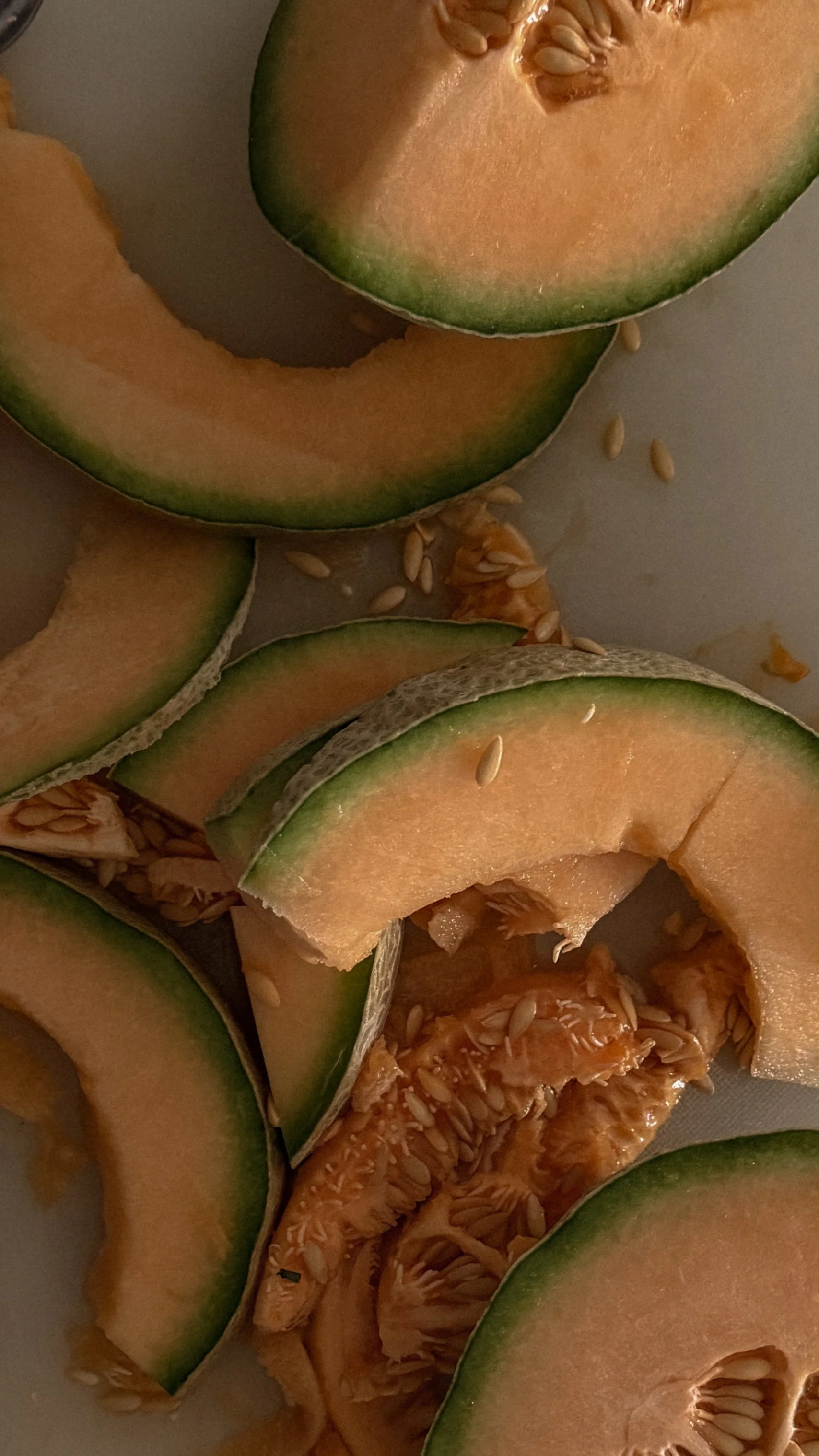 MICHELLE-MOLLINGA-CANTALOUPE.jpg