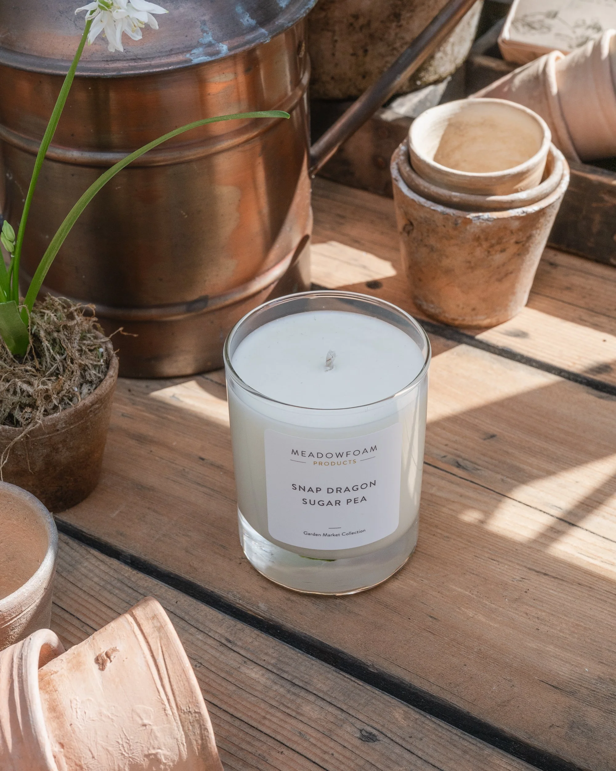 MICHELLE-MOLLINGA-CANDLE-TERRACOTTA.jpg