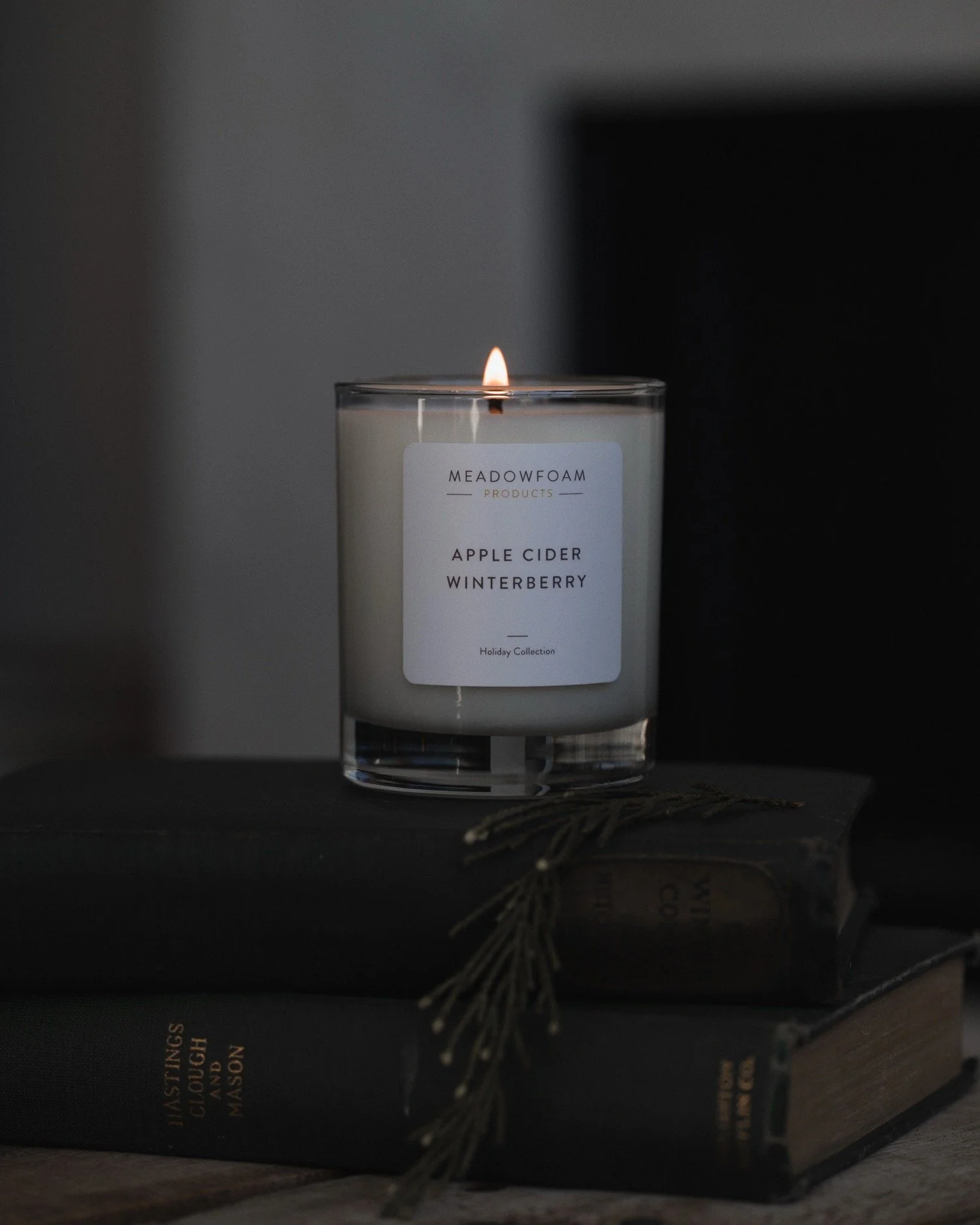 MICHELLE-MOLLINGA-CANDLE-APPLE-CIDER-resized.jpg