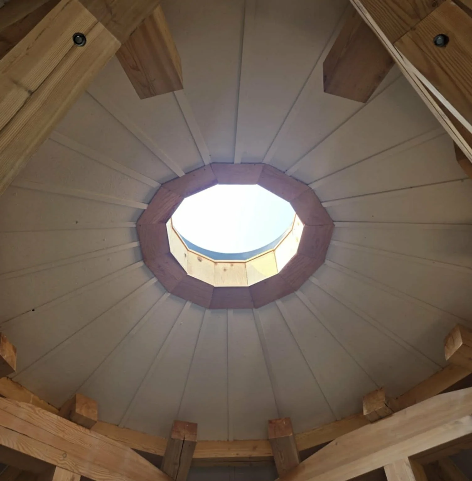 Skylight Timbers Douglas Fir Skeetchestn Dodeca-Homes