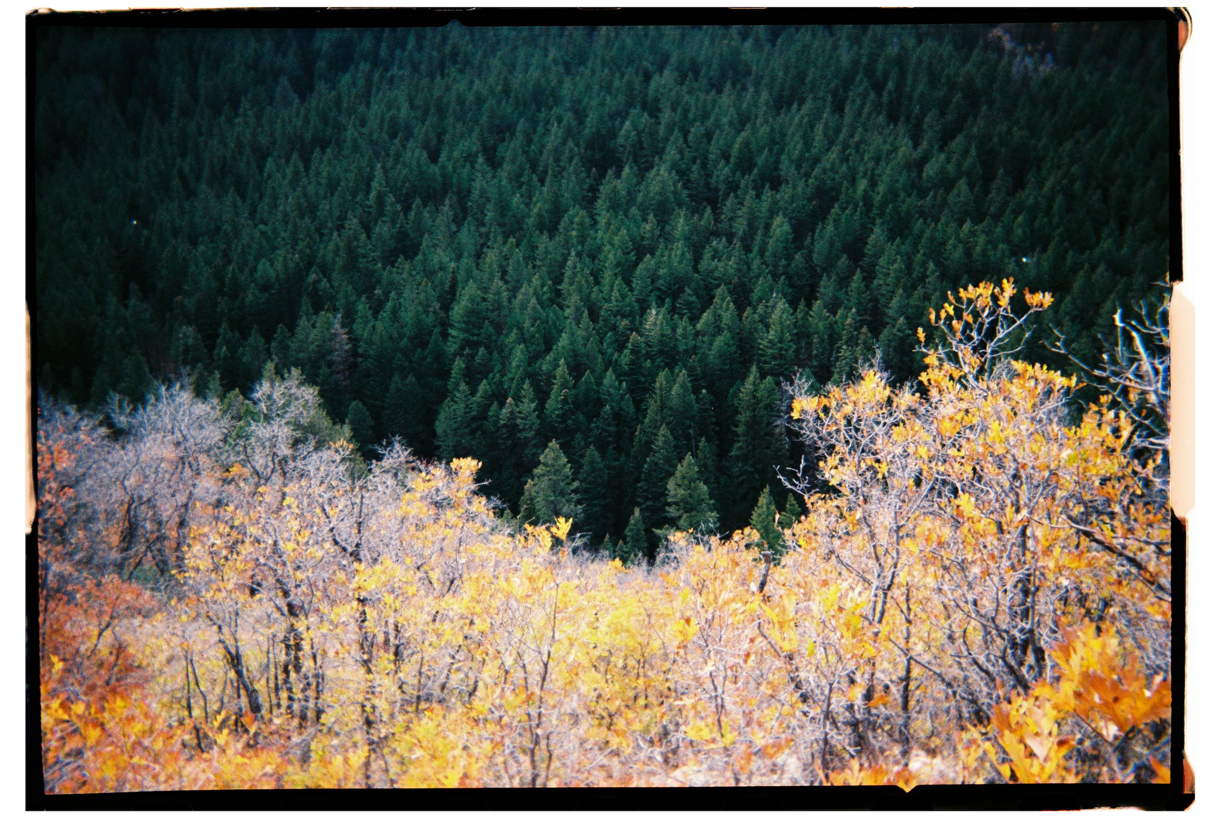 2025 - American Fork Canyon 2 (JPEG).jpg