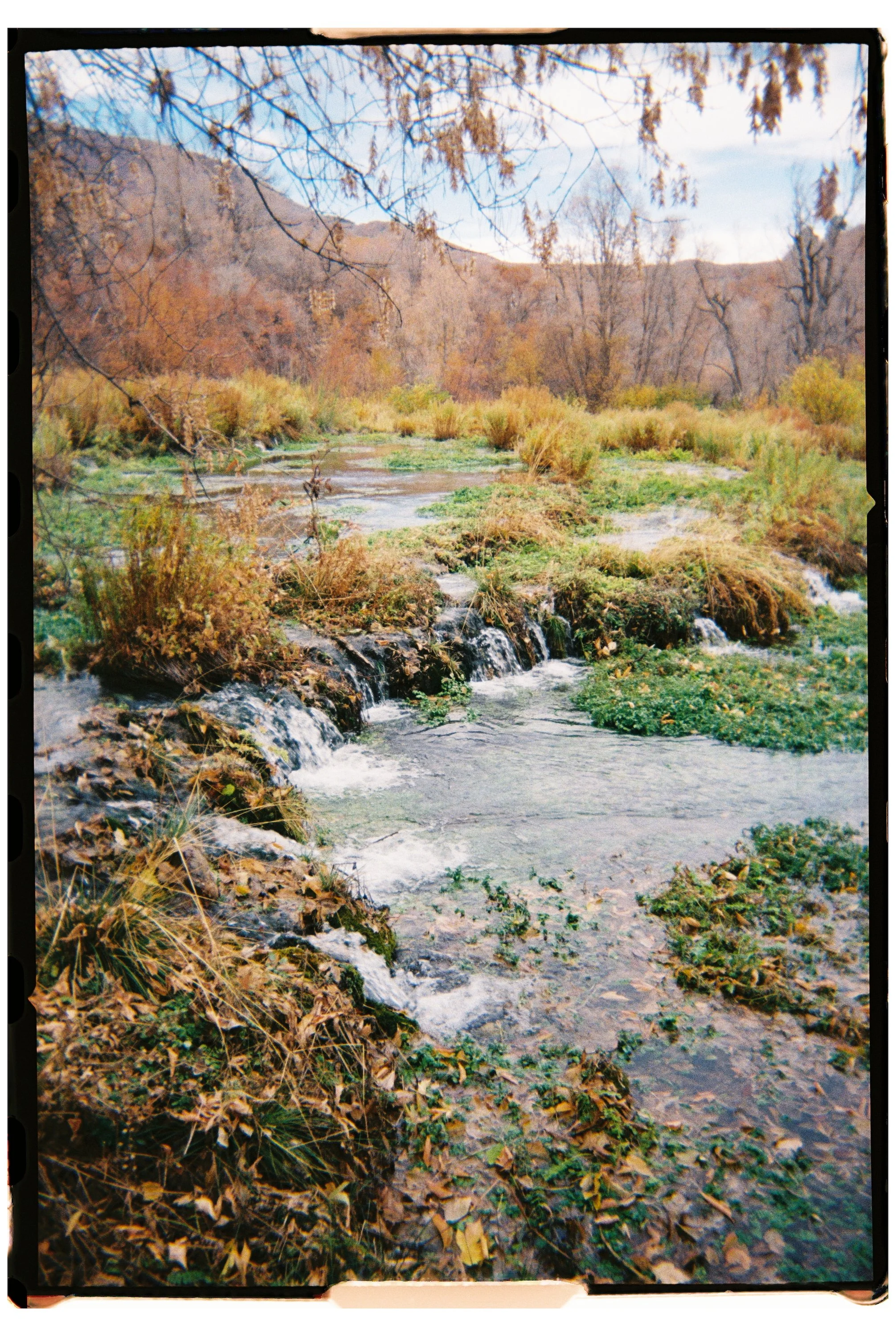 2025 - Cascade Springs 1 (JPEG).jpg