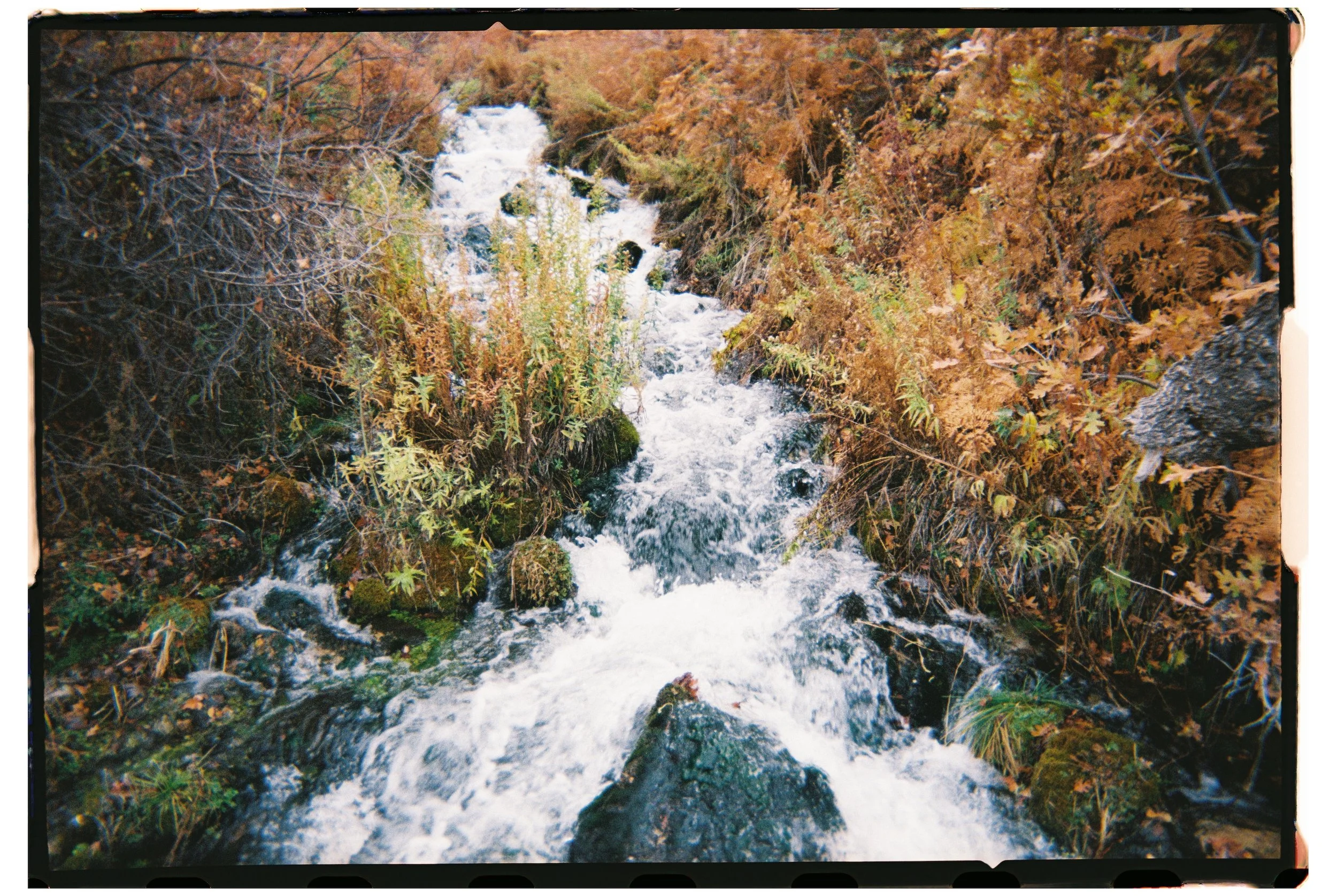 2025 - Cascade Springs 5 (JPEG).jpg