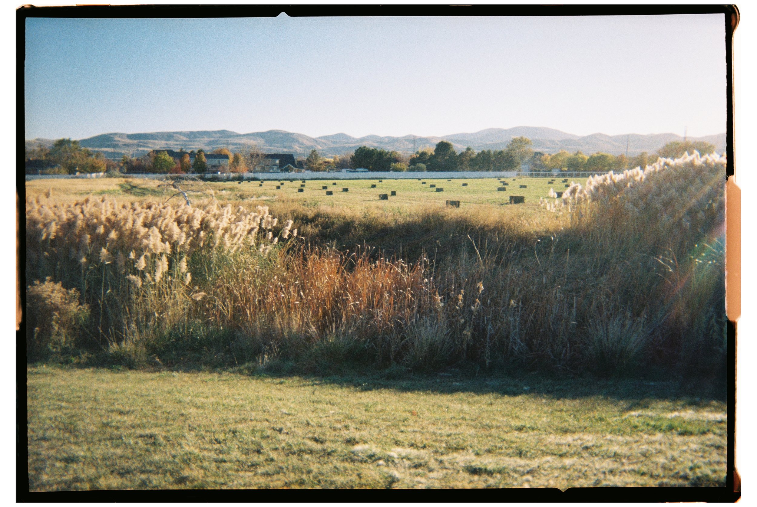 2025 - Herriman 1 (JPEG).jpg