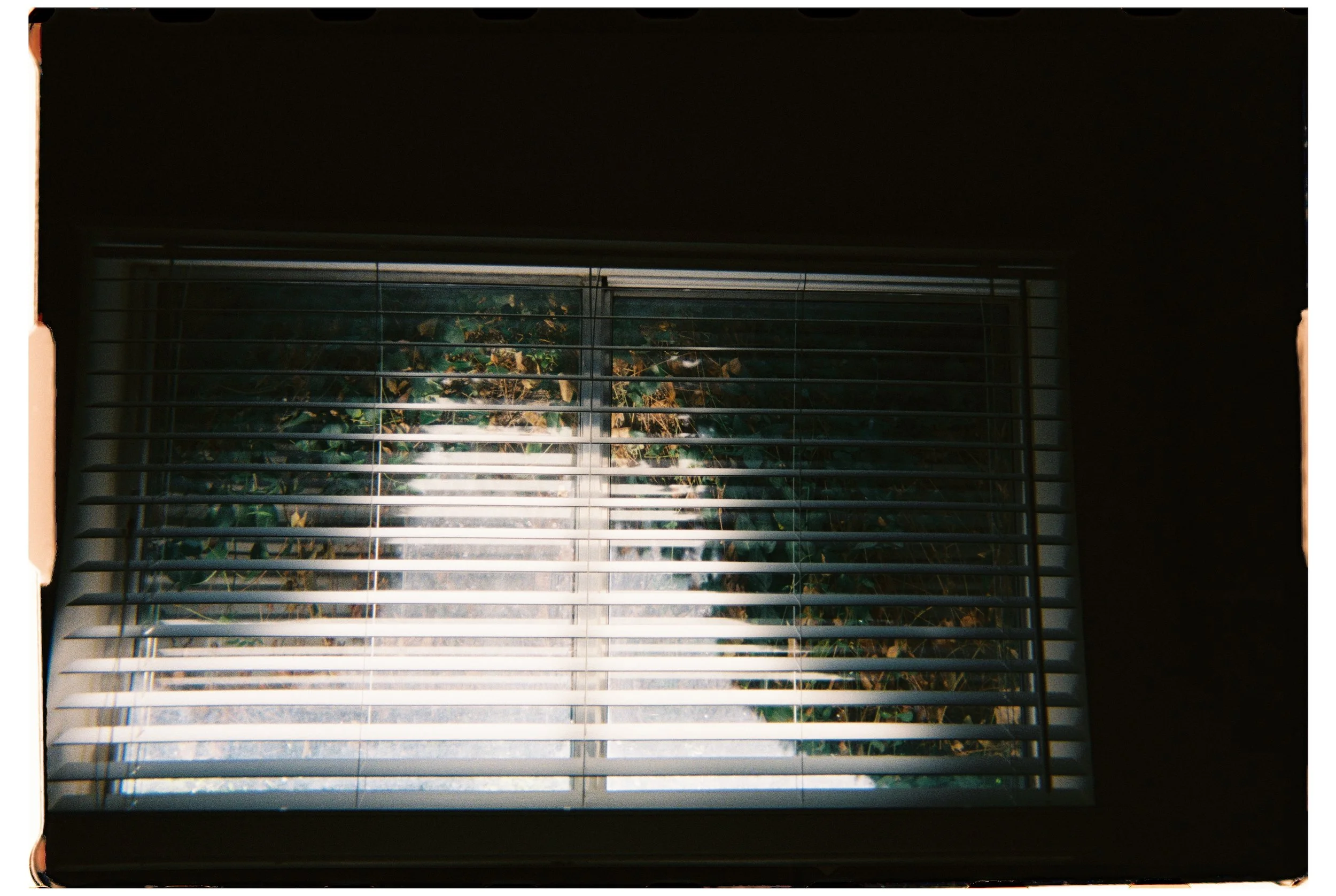 2025 - Home 1 (JPEG).jpg