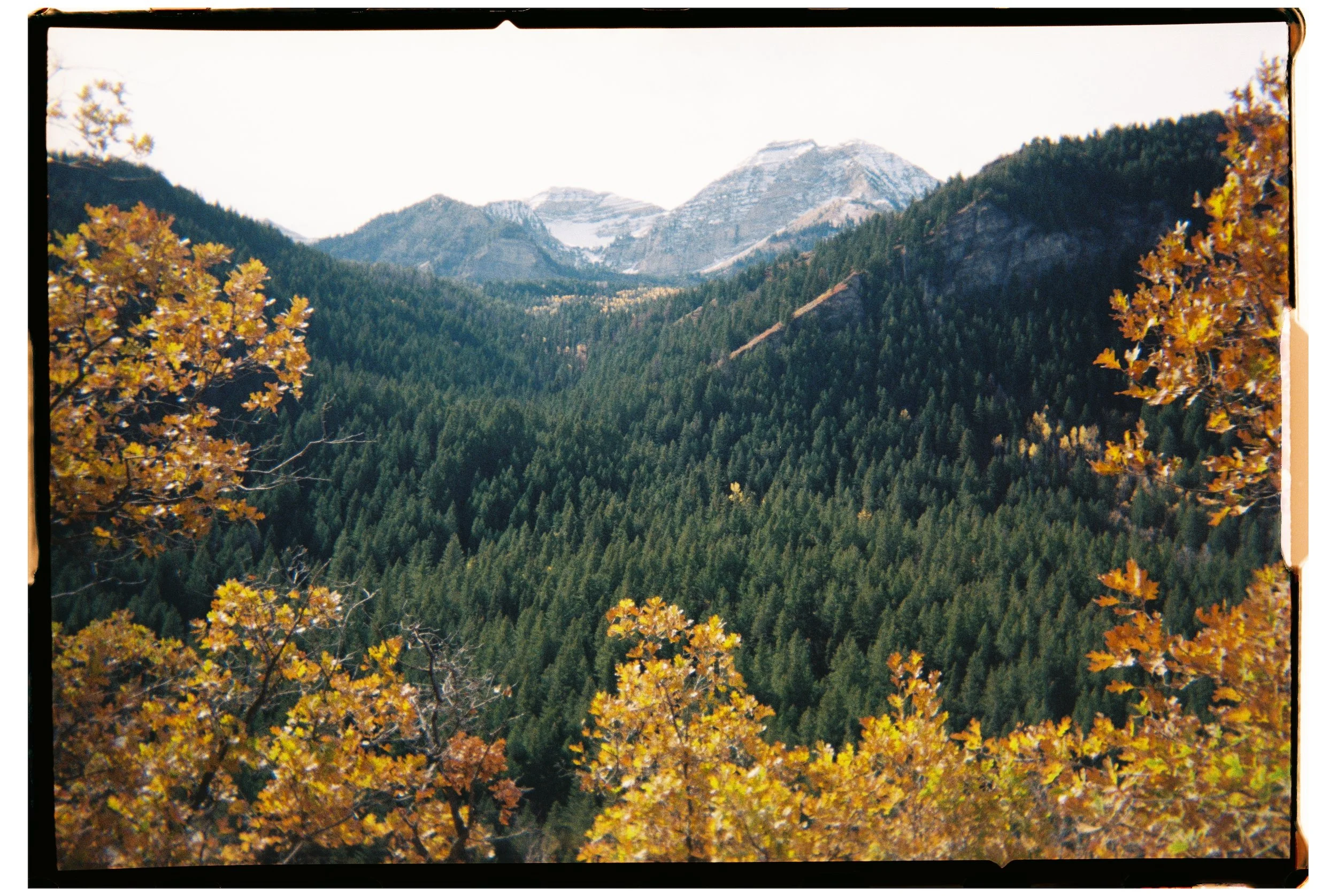 2025 - Mount Timpanogos Fall 1 (JPEG).jpg