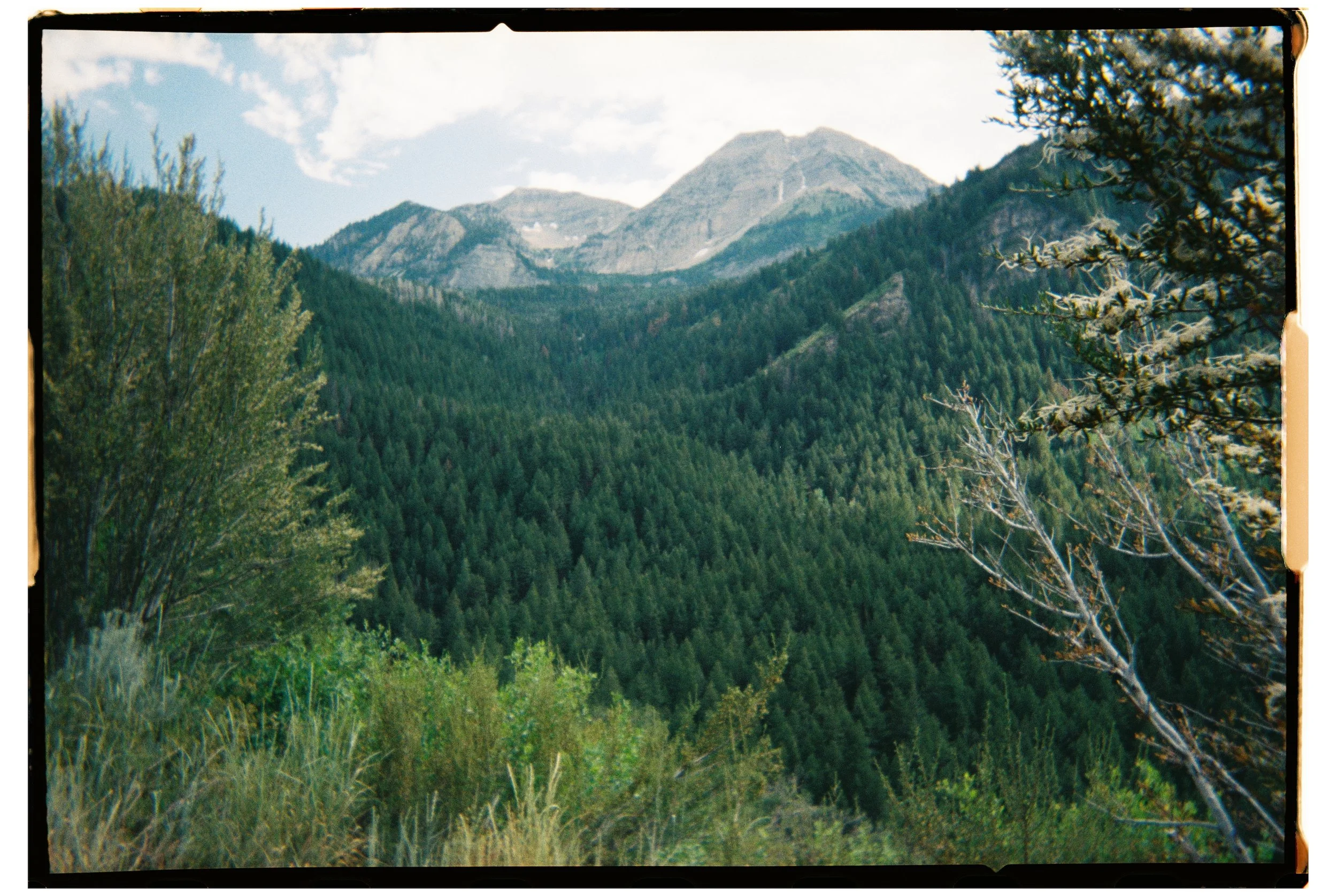 2025 - Mount Timpanogos 1 (JPEG).jpg