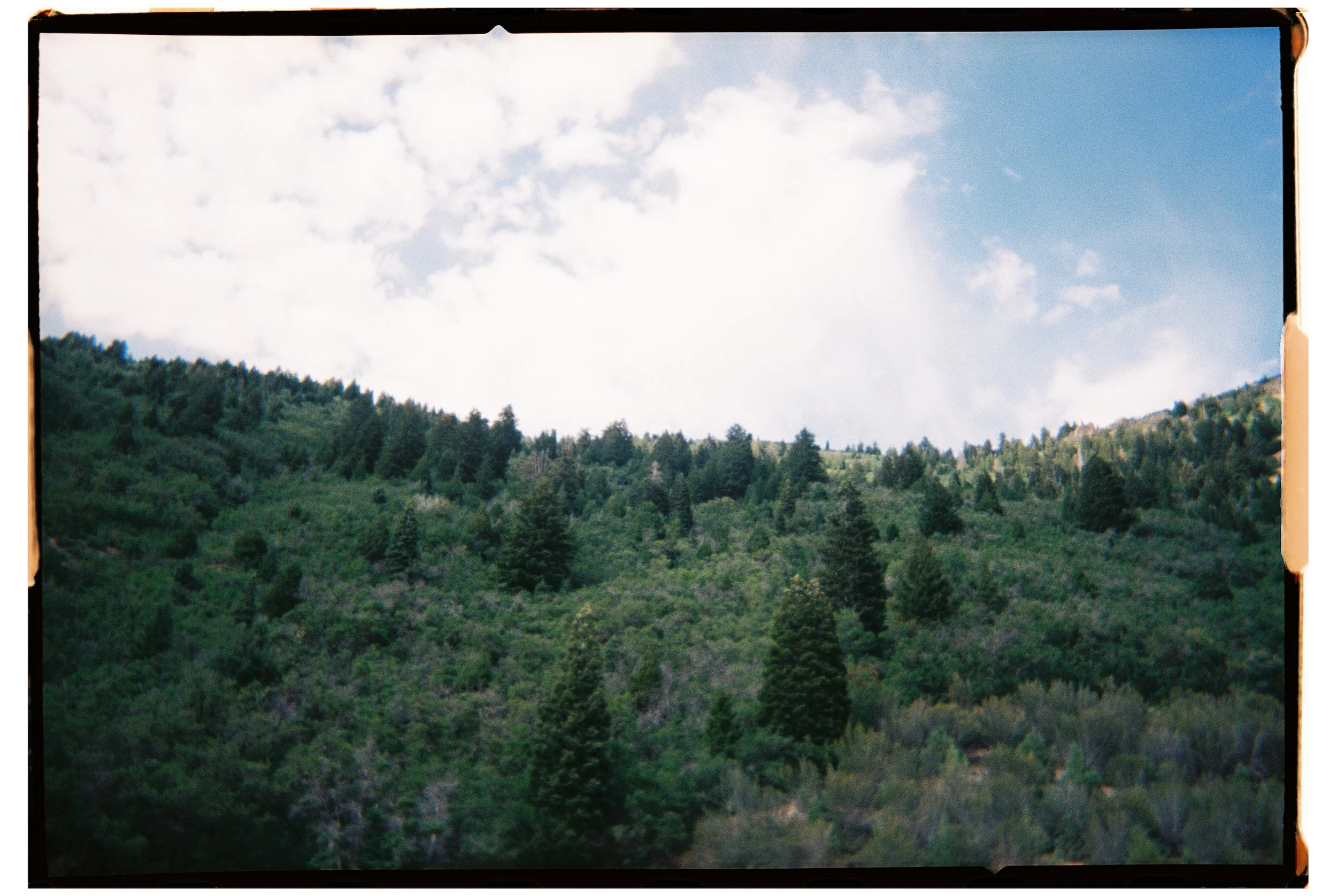 2025 - American Fork Canyon 1 (JPEG).jpg