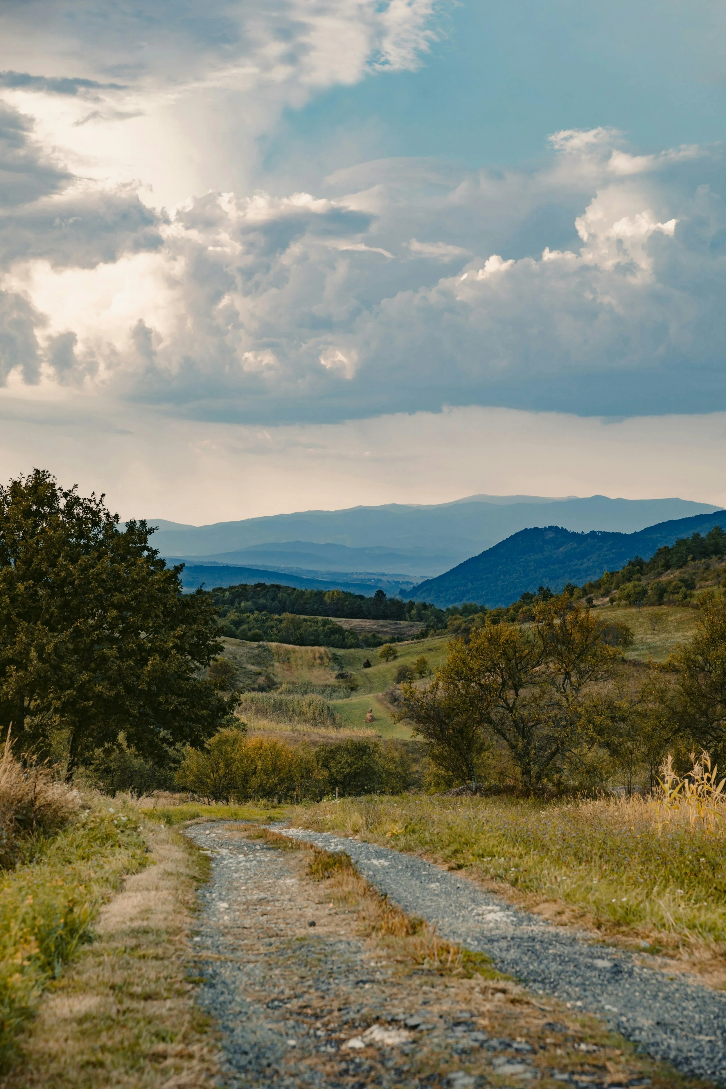 New Limits on Farmland to Forestry Conversions 