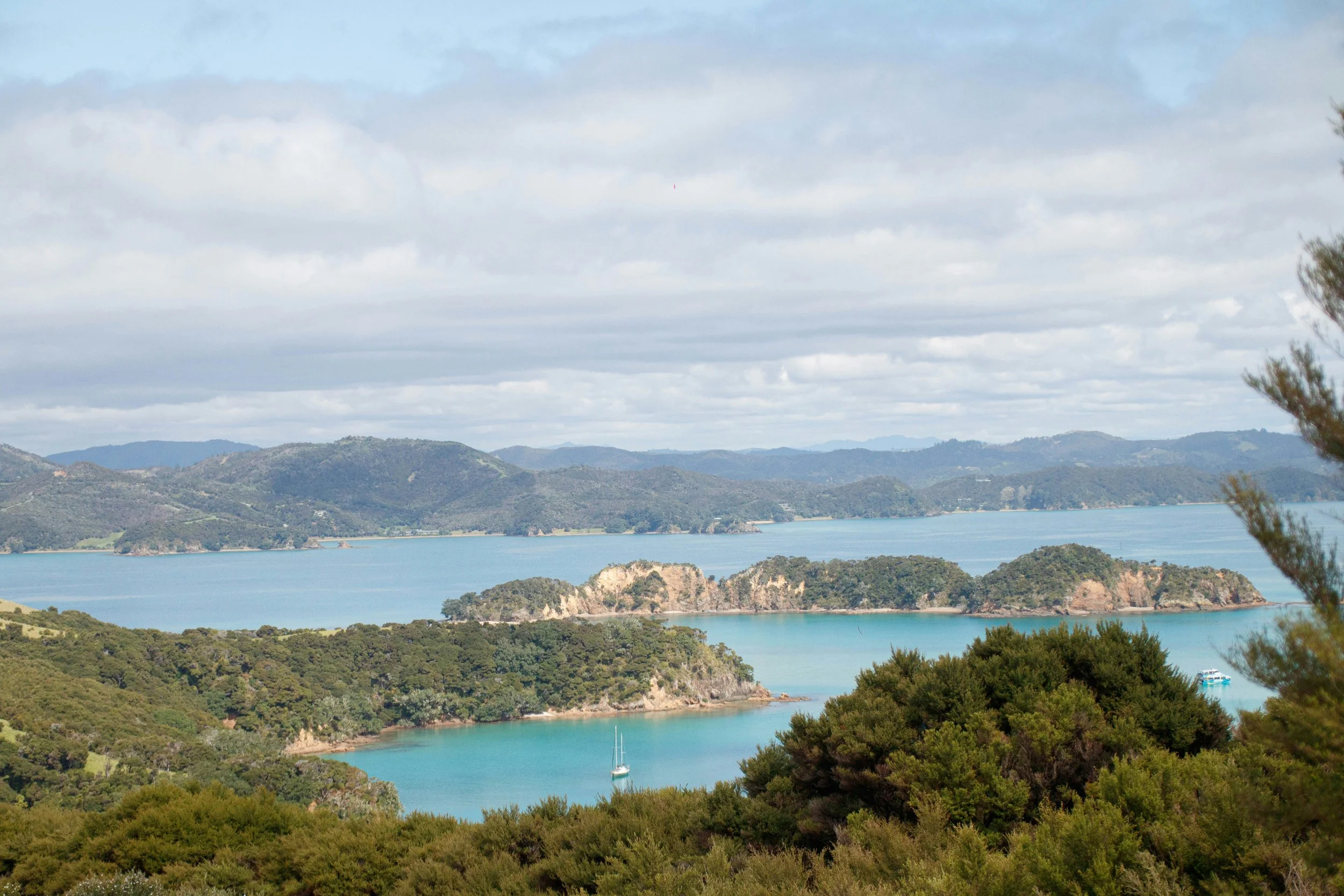 Navigating Redundancy