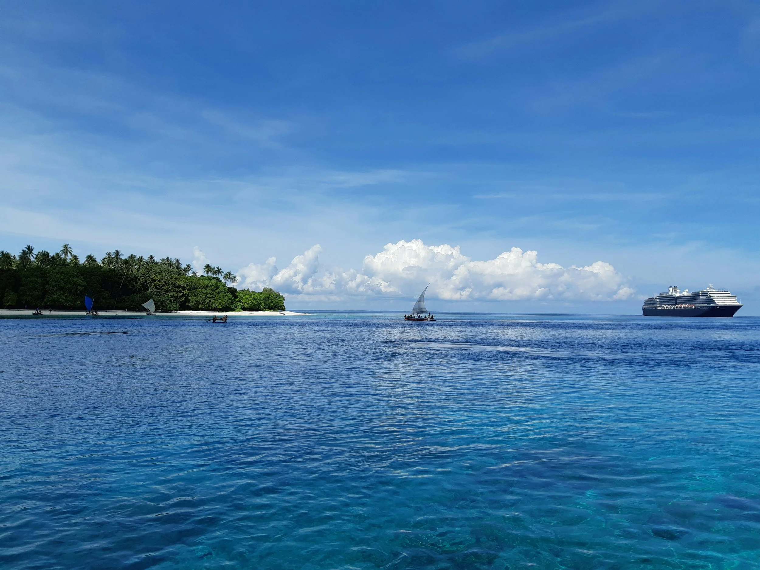 Overseas Investment Act 2005 reform