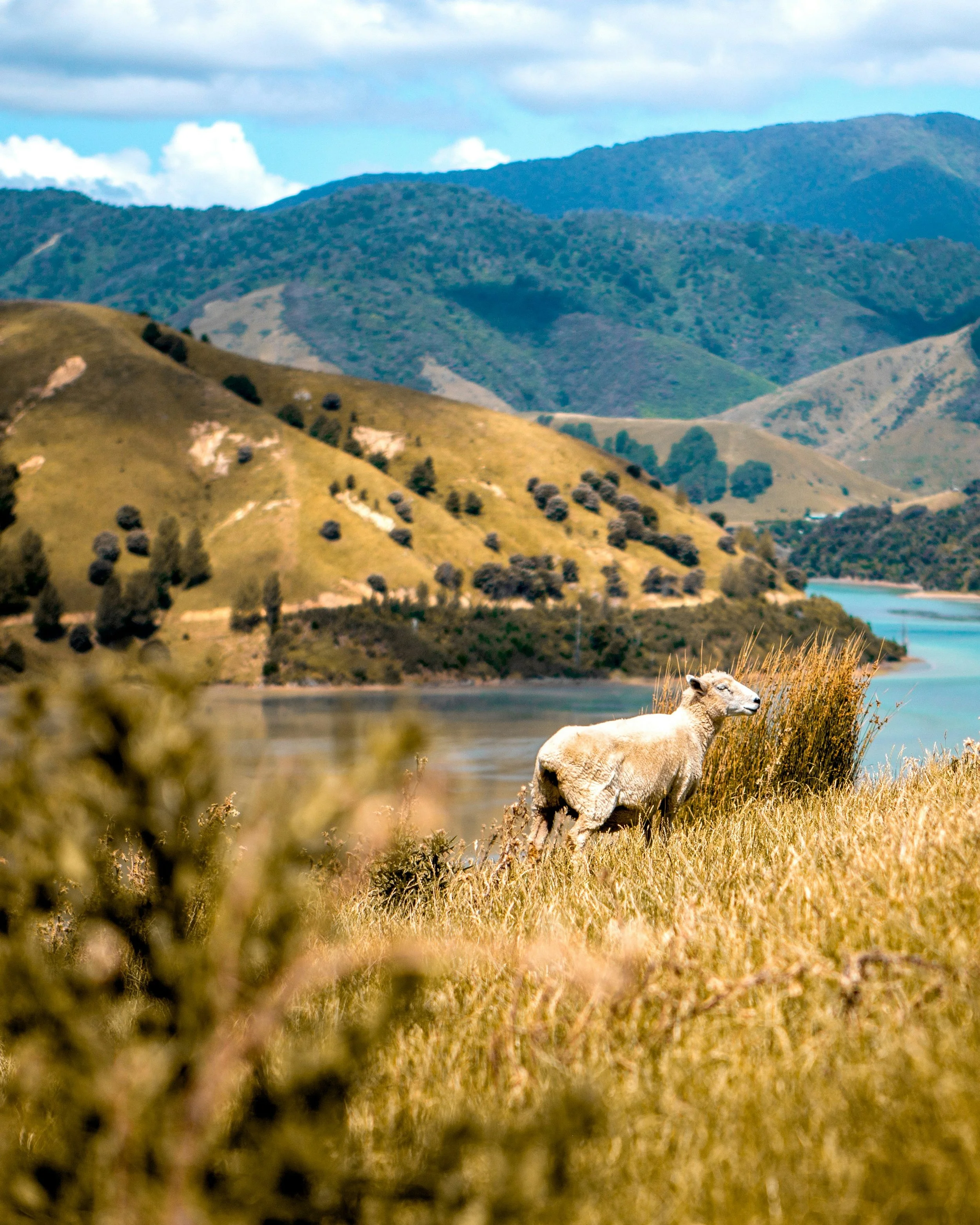 Methamphetamine in Farm Worker Accommodation