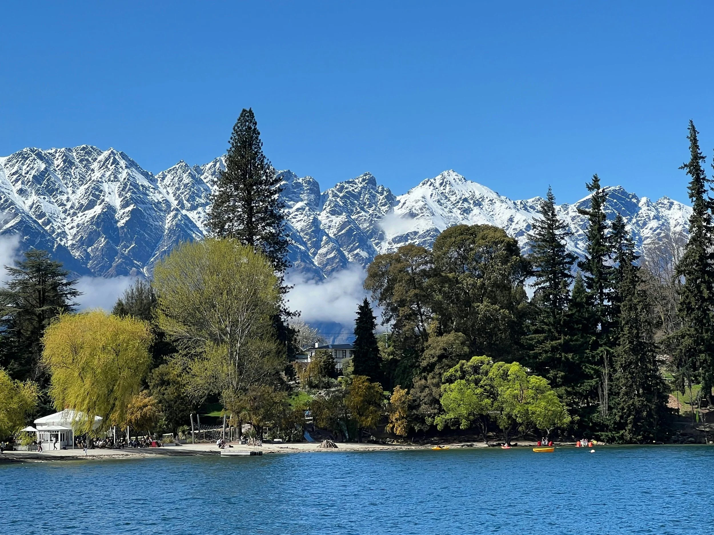 Wilding Pines: Budget 2026 Injection