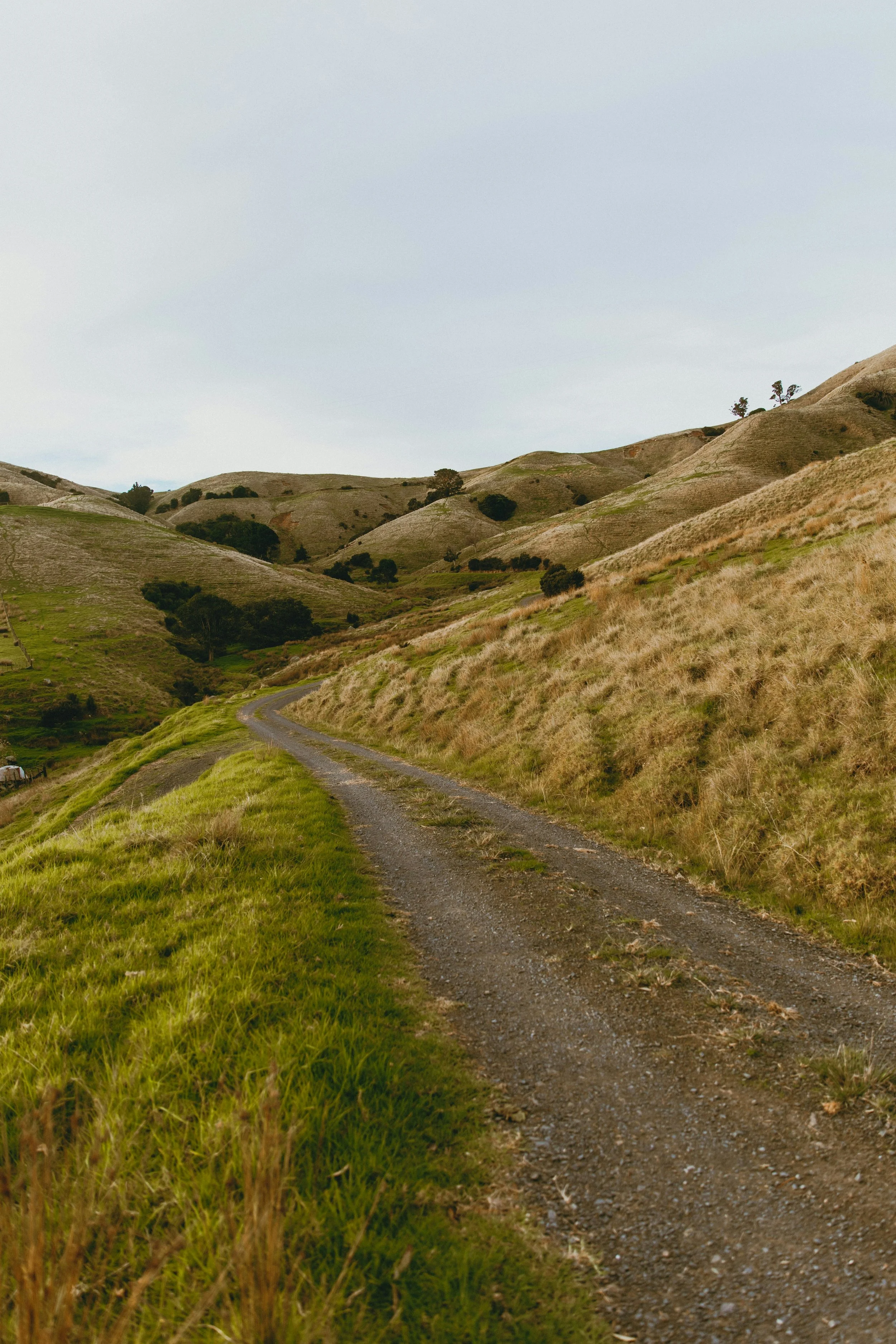 Rural Roading Resilience Investment &nbsp;