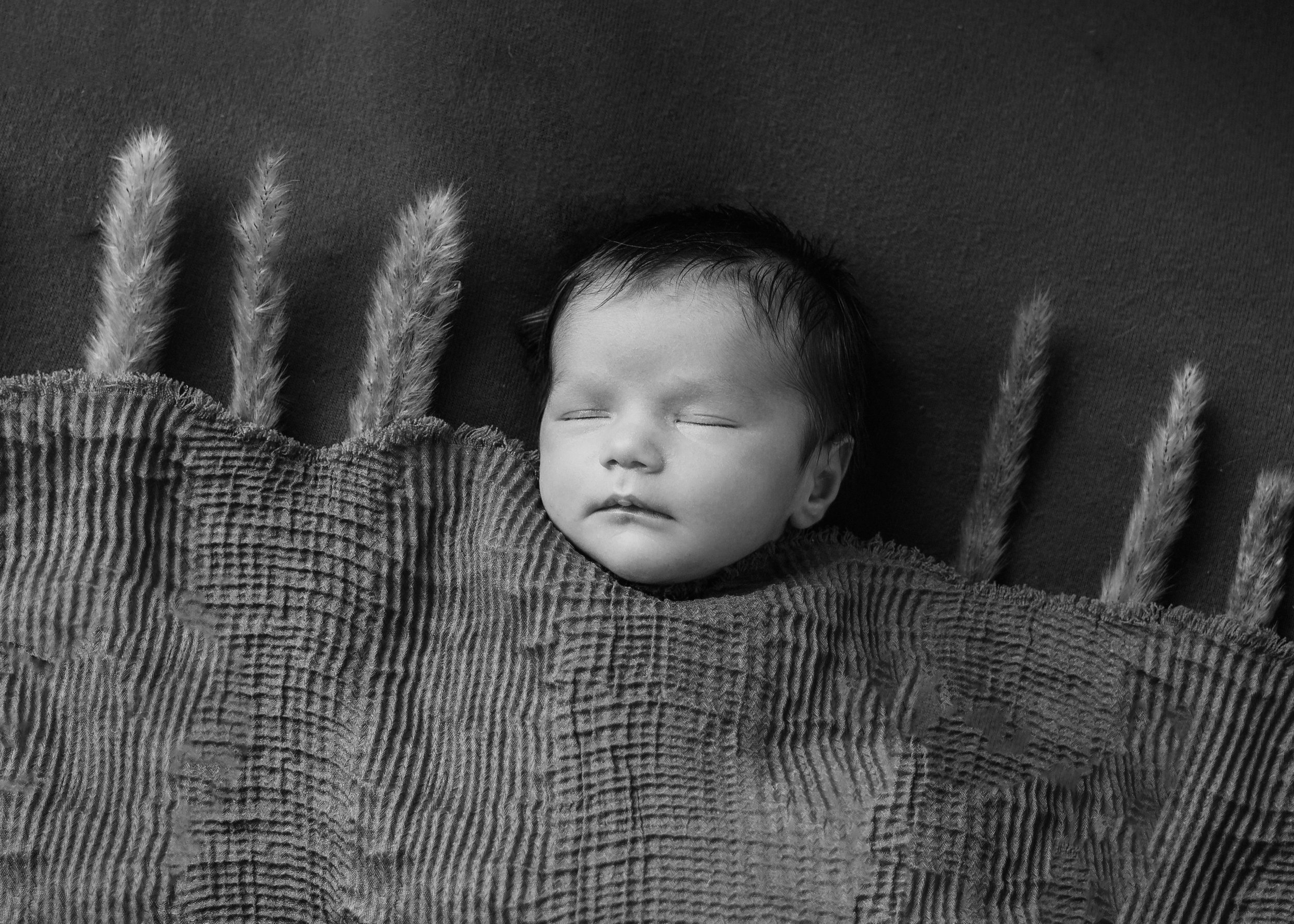 DSC09028bw.jpg