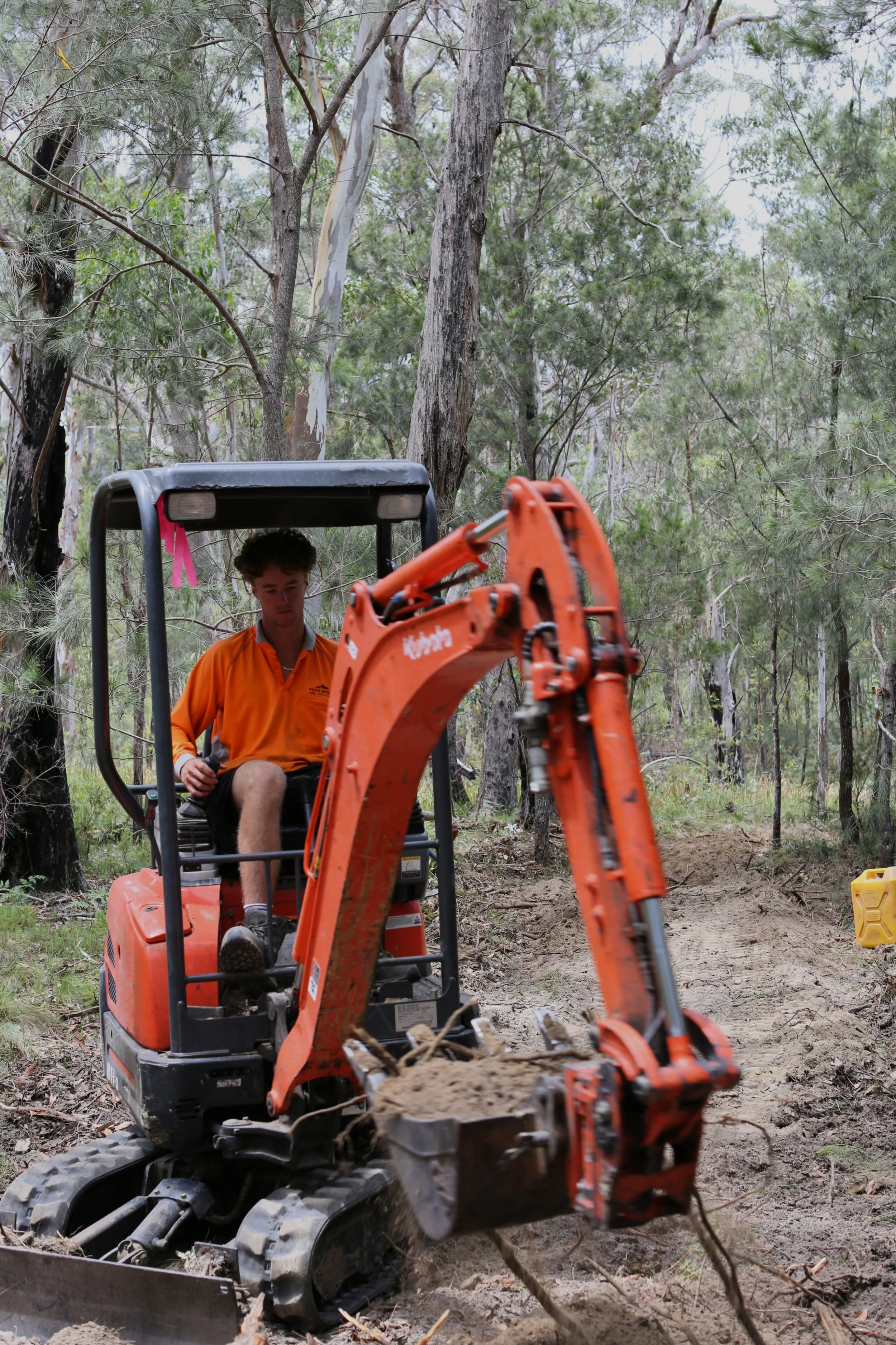 Boonoo State Forest 2.JPG