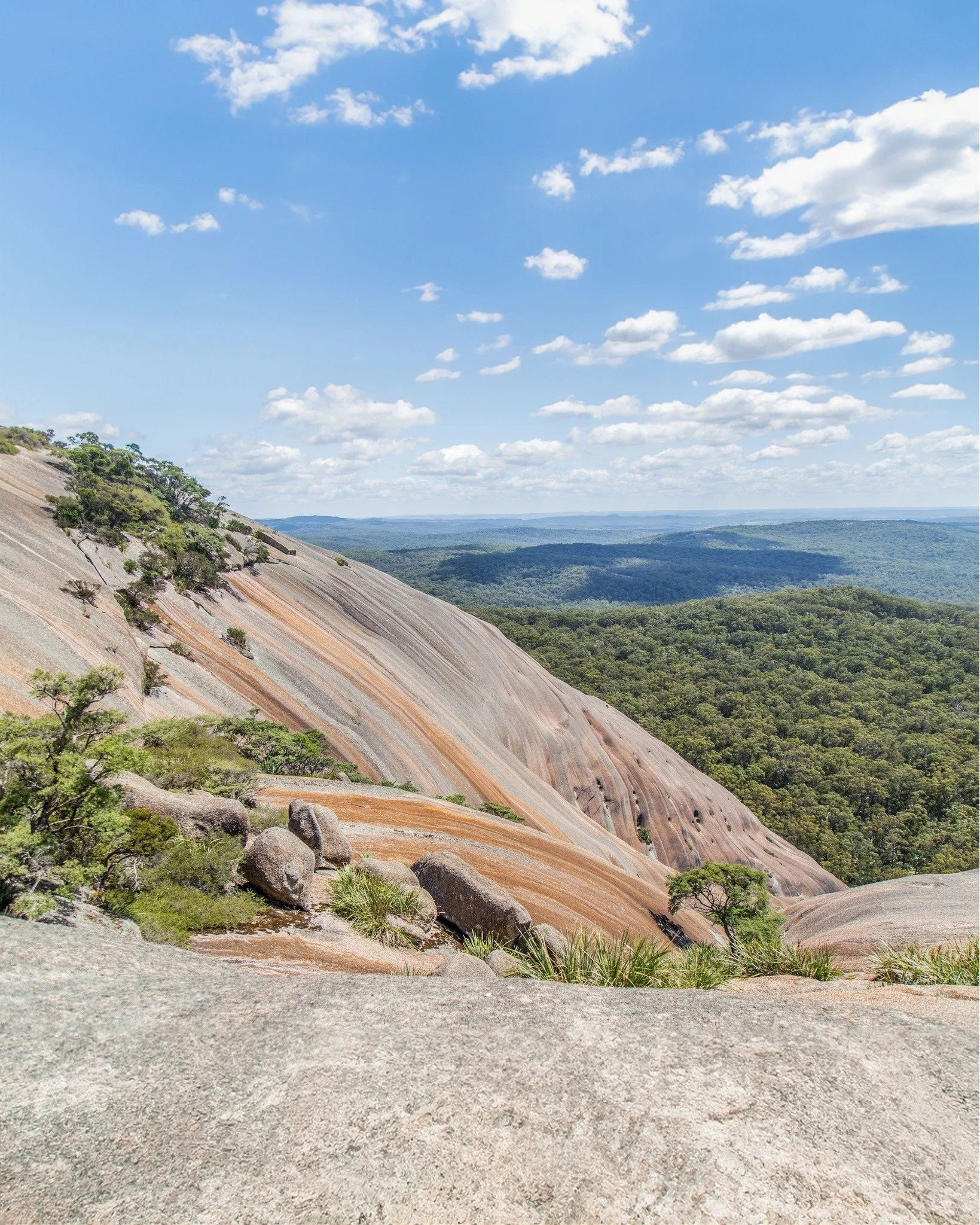 Bald Rock National Park