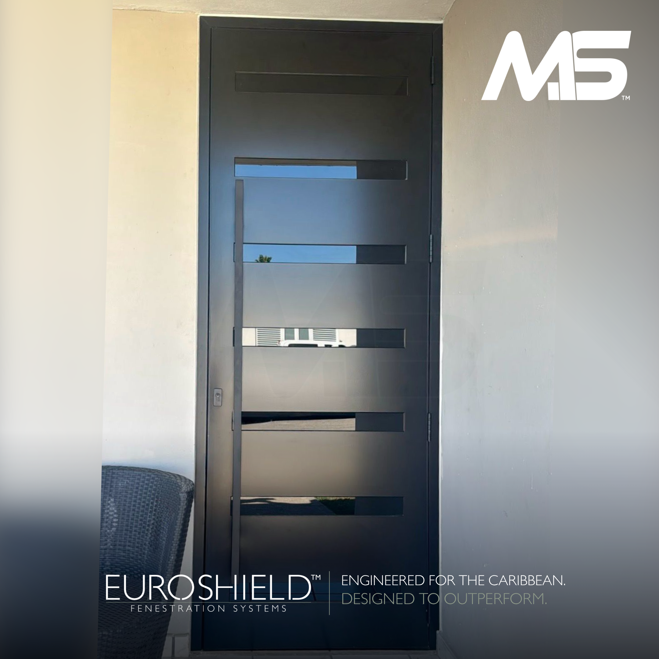 EuroShield™ Door - Old (nuevo logo) (6).png