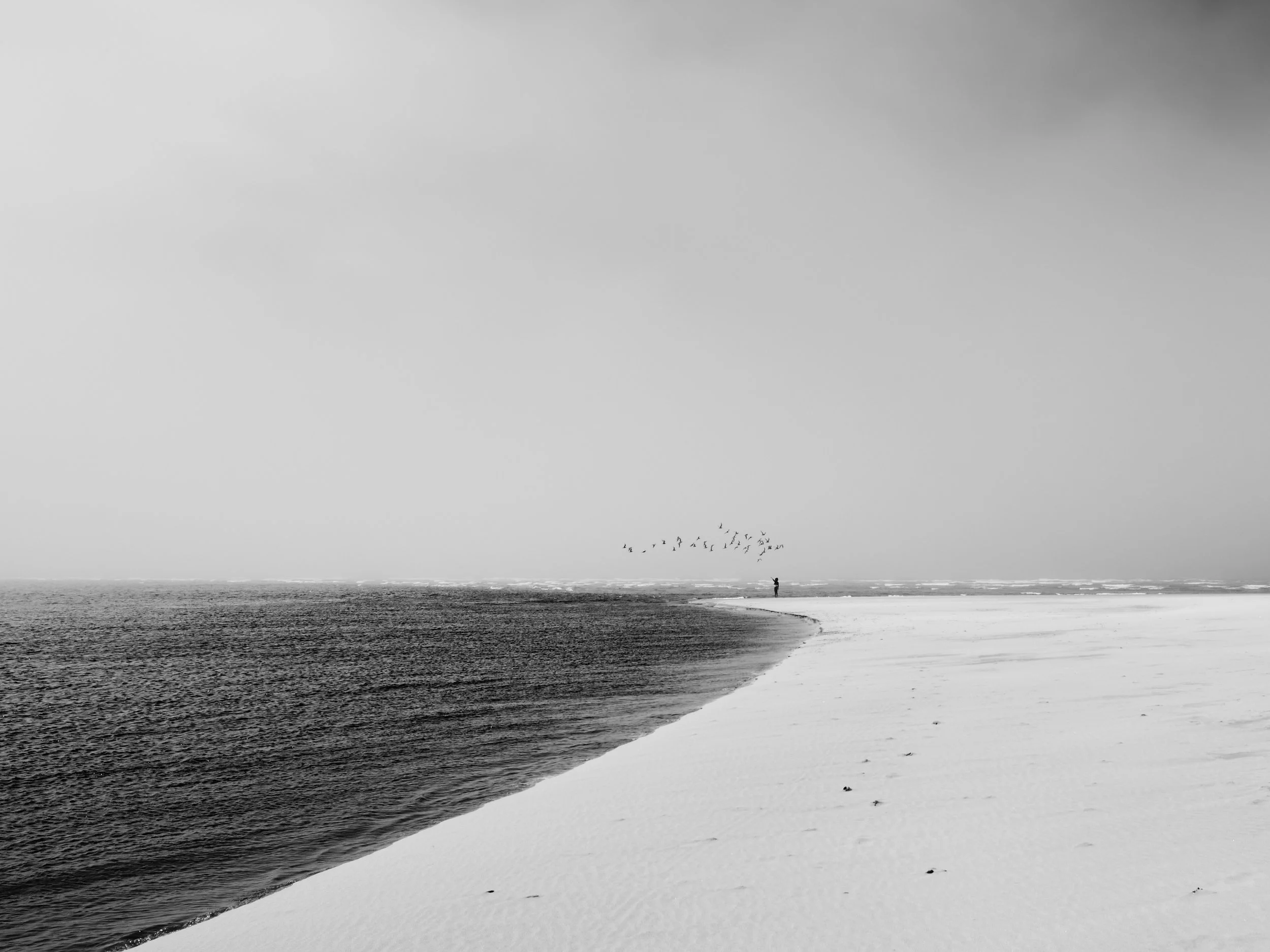 DSCF4160.jpg